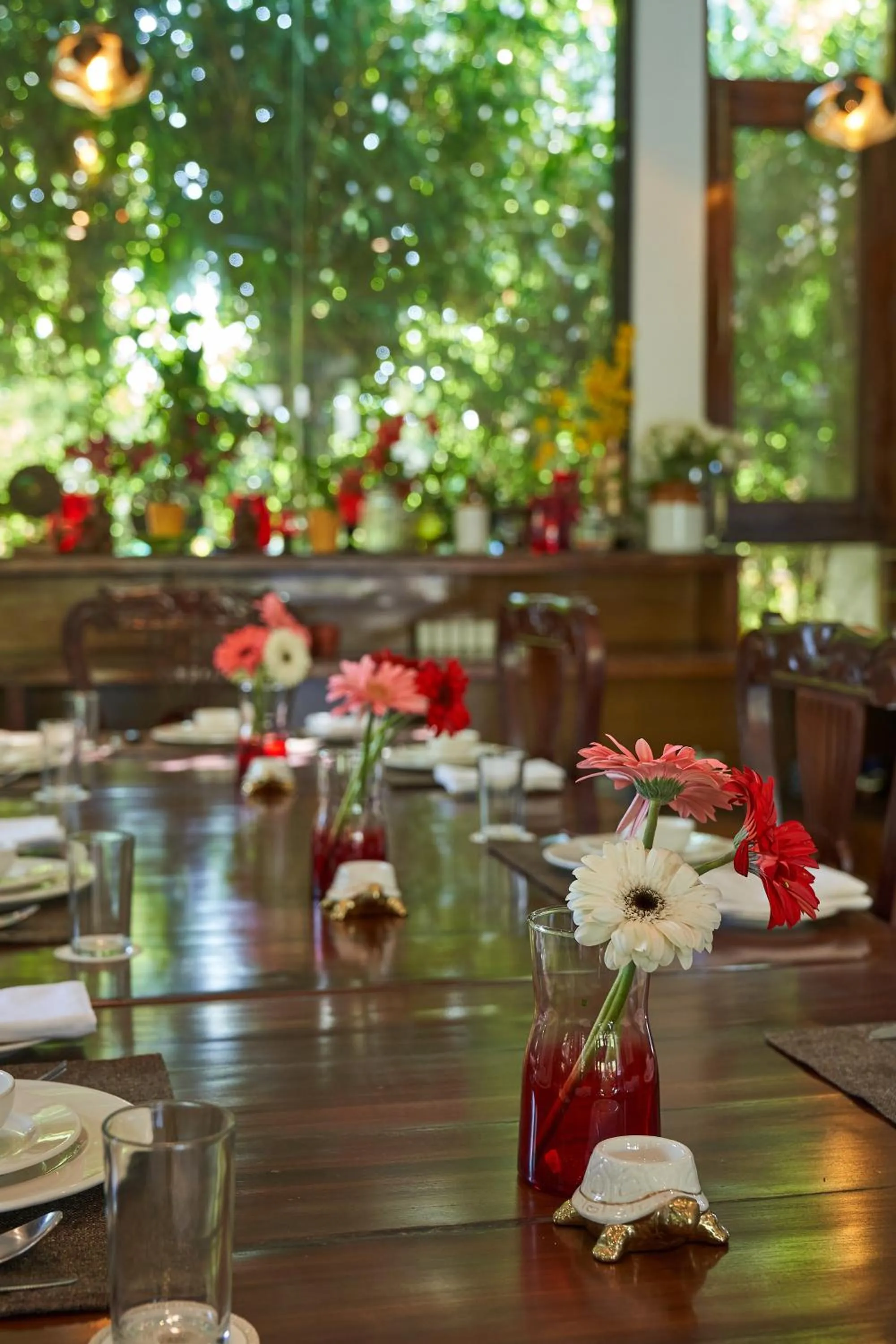 Dining area in Tree of Life Vanvilas Riveredge Corbett