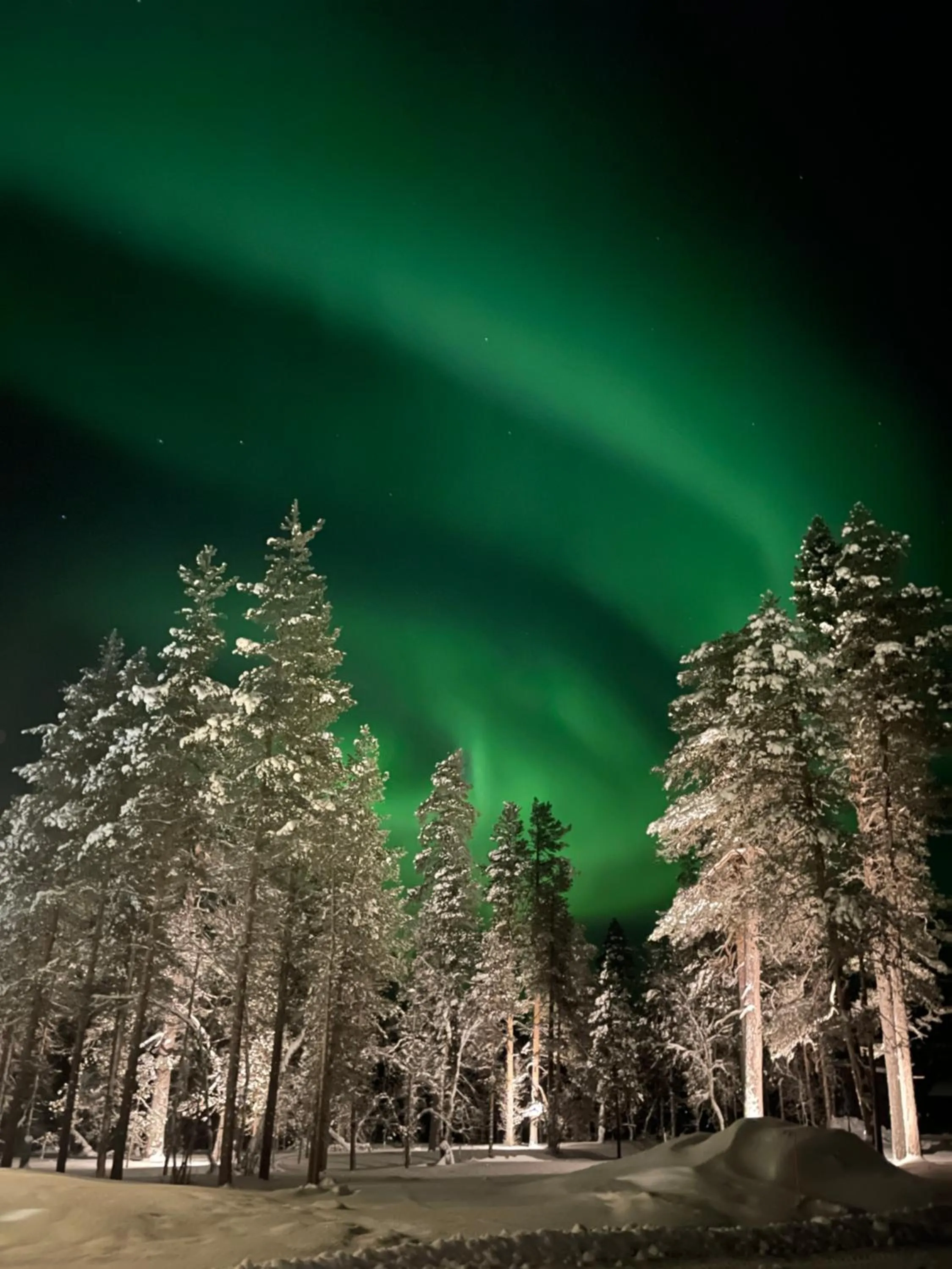 Property building in Aurora Queen Resort Igloos
