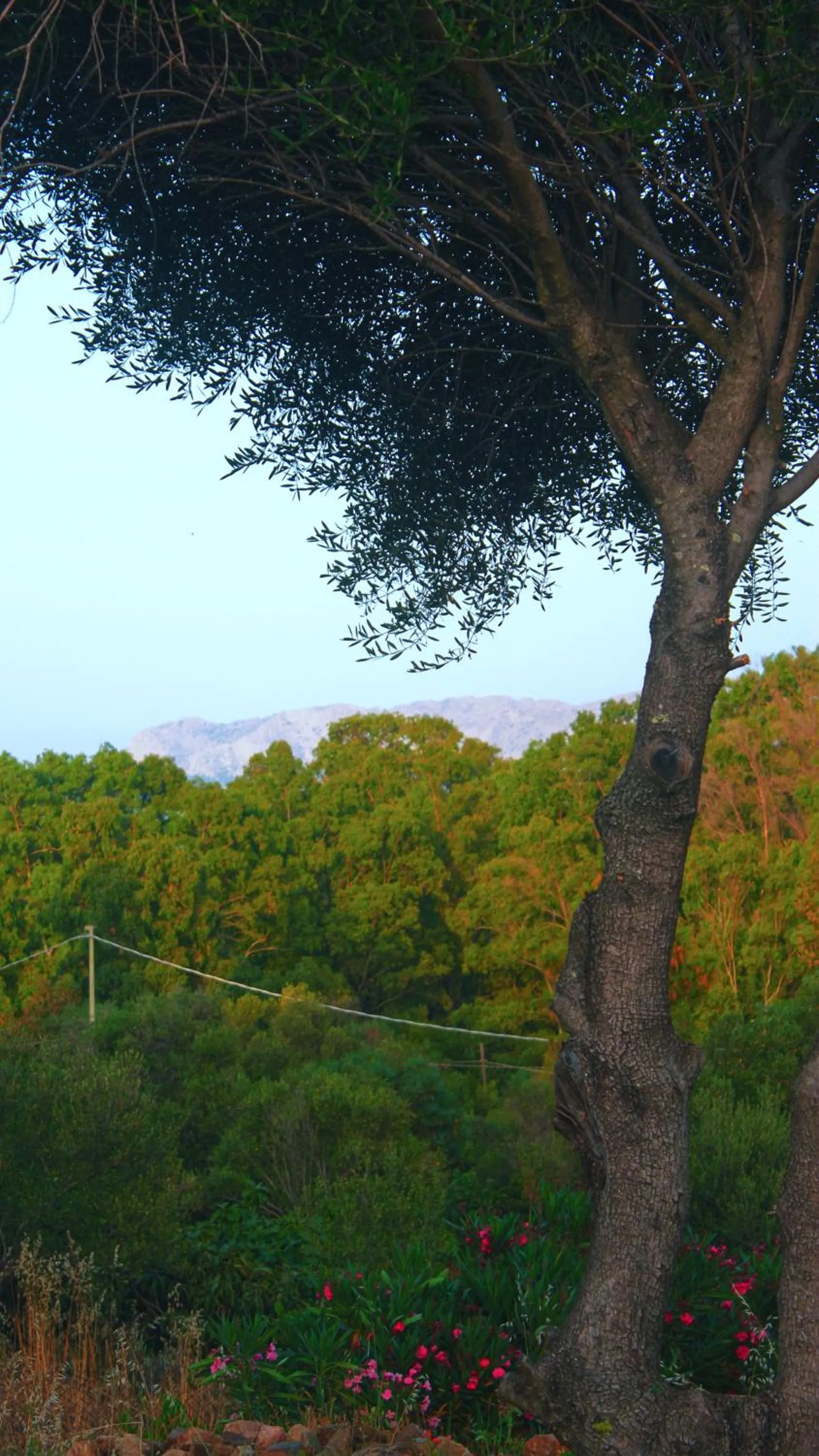 Natural landscape in Sole Matto Rooms