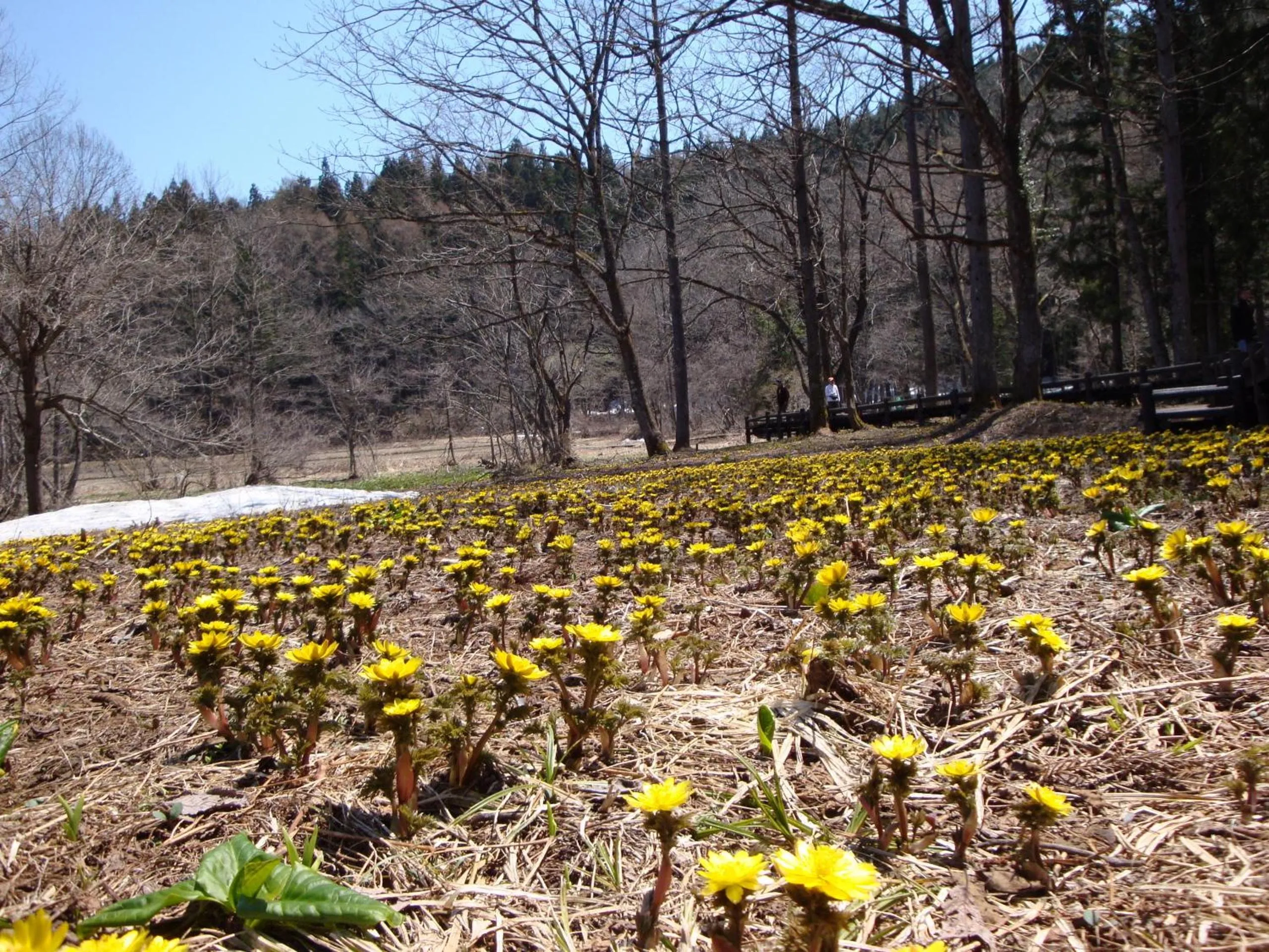 Off site in Hotel La Montagne Furuhata