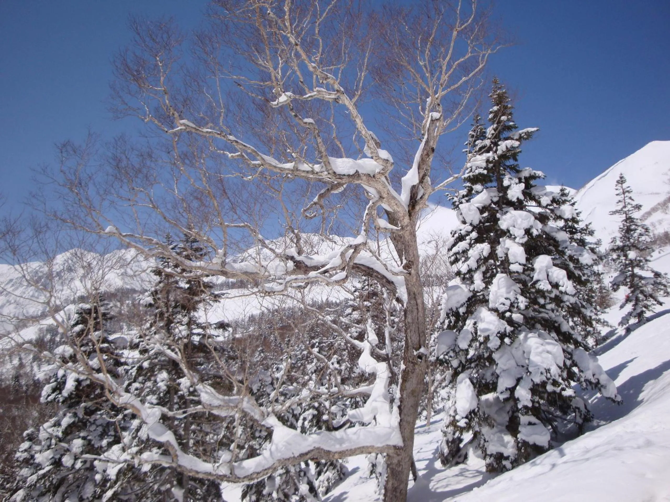 Winter in Hotel La Montagne Furuhata
