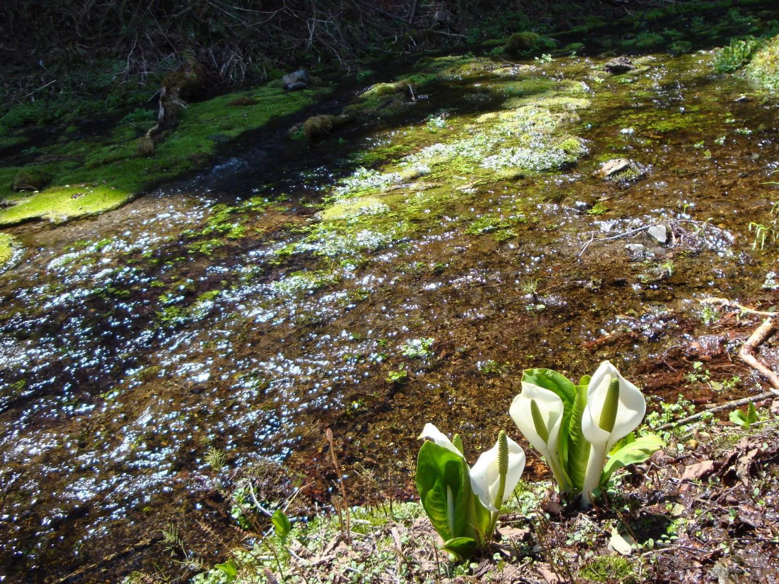 Off site in Hotel La Montagne Furuhata