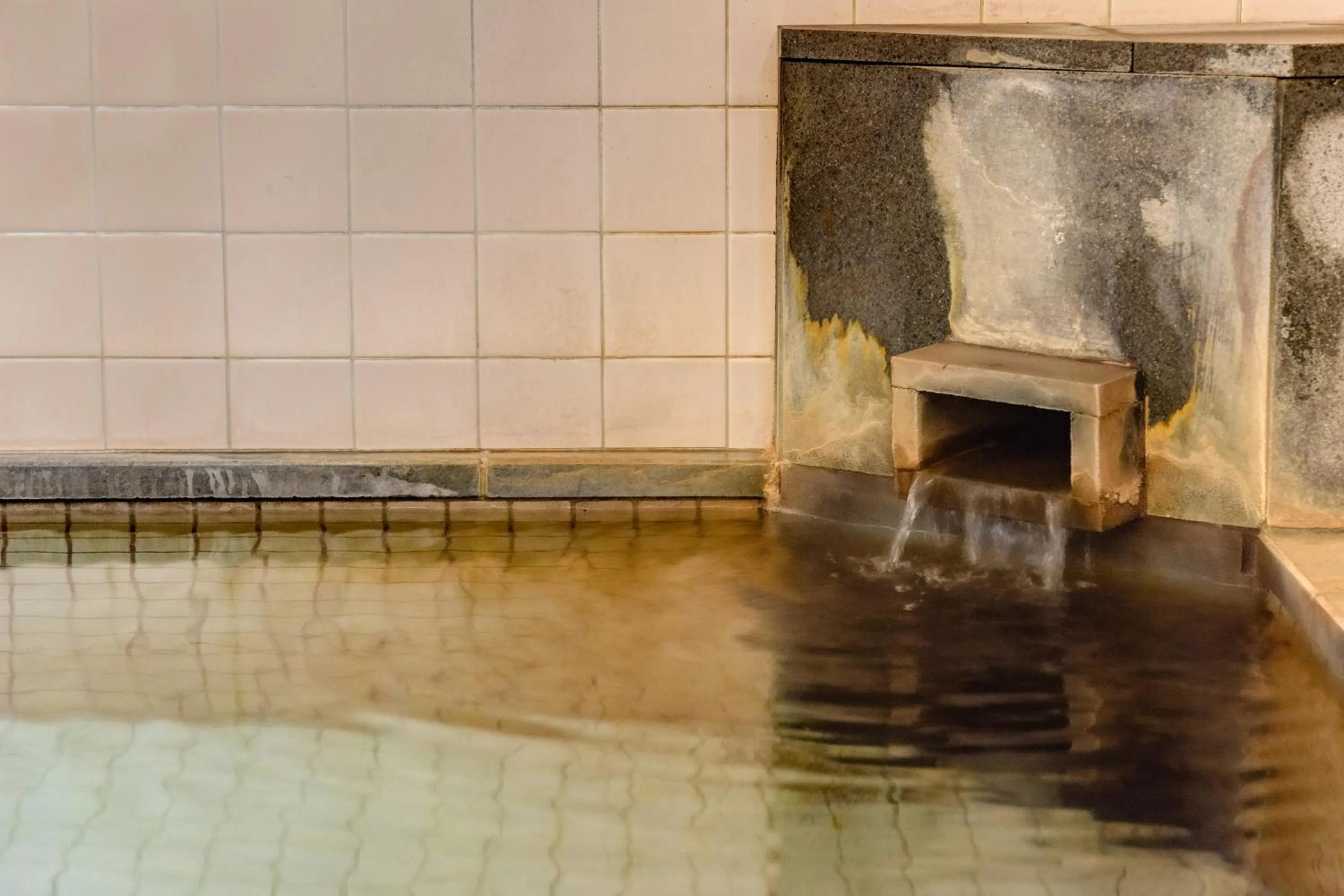 Hot Spring Bath in Hotel La Montagne Furuhata