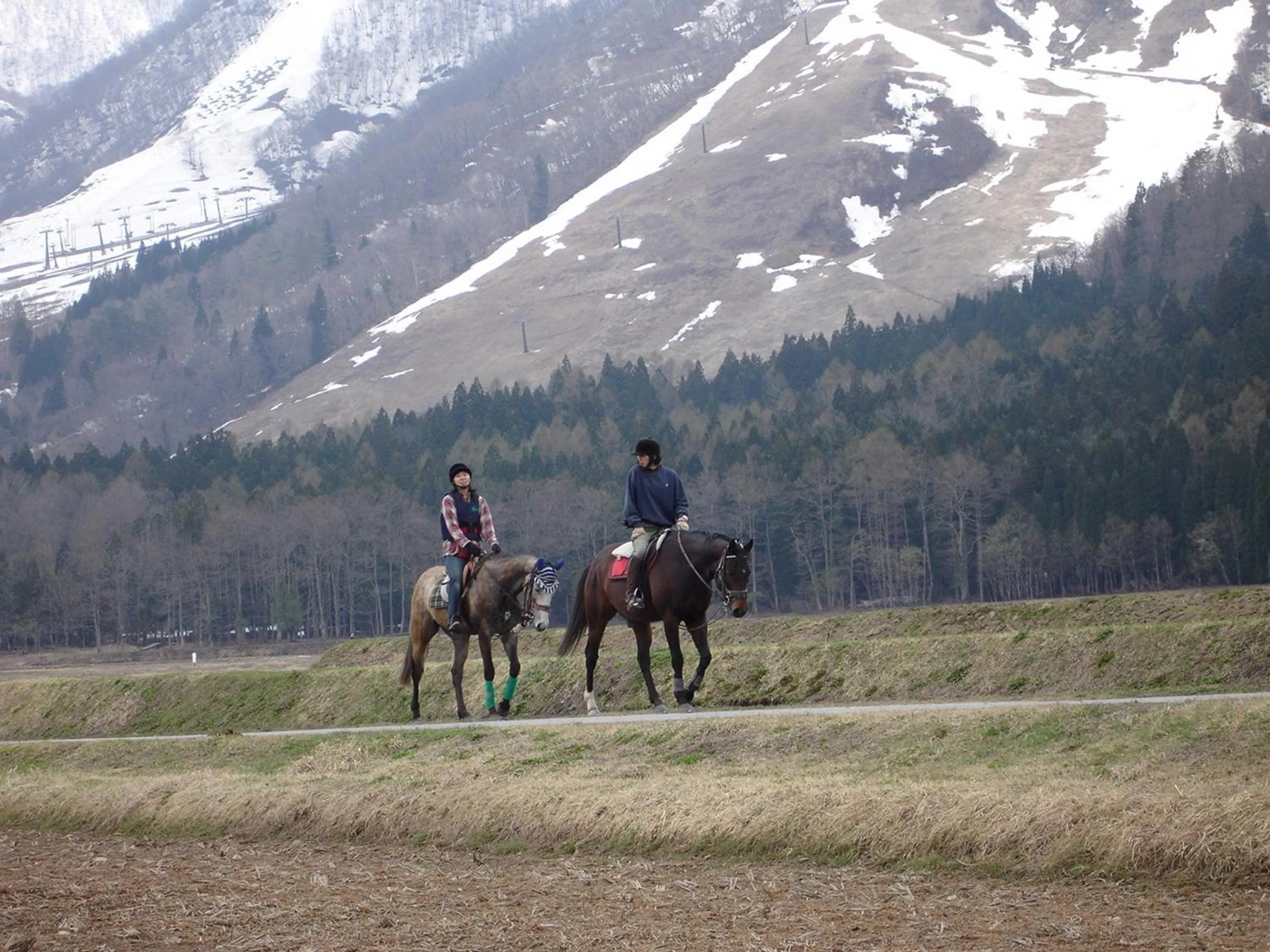 Horse-riding in Hotel La Montagne Furuhata