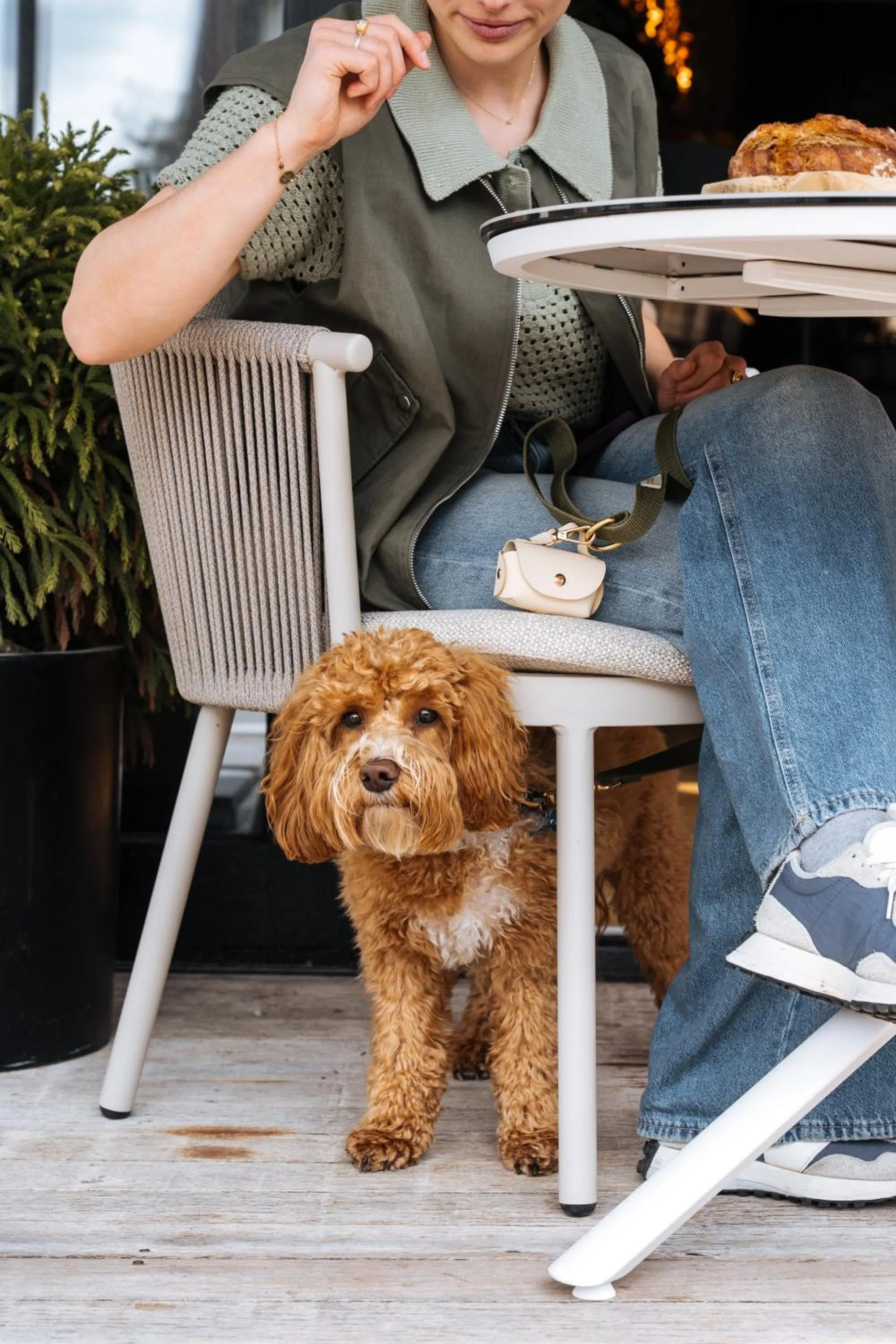 pet friendly in Boutique Hotel Azur