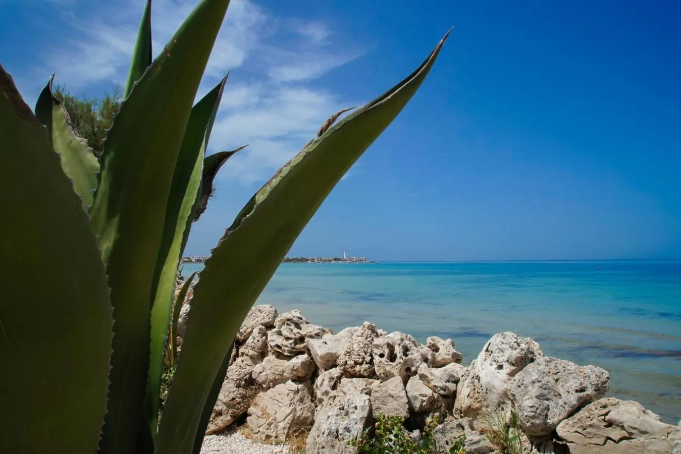 Natural landscape in Aurelia Sea View