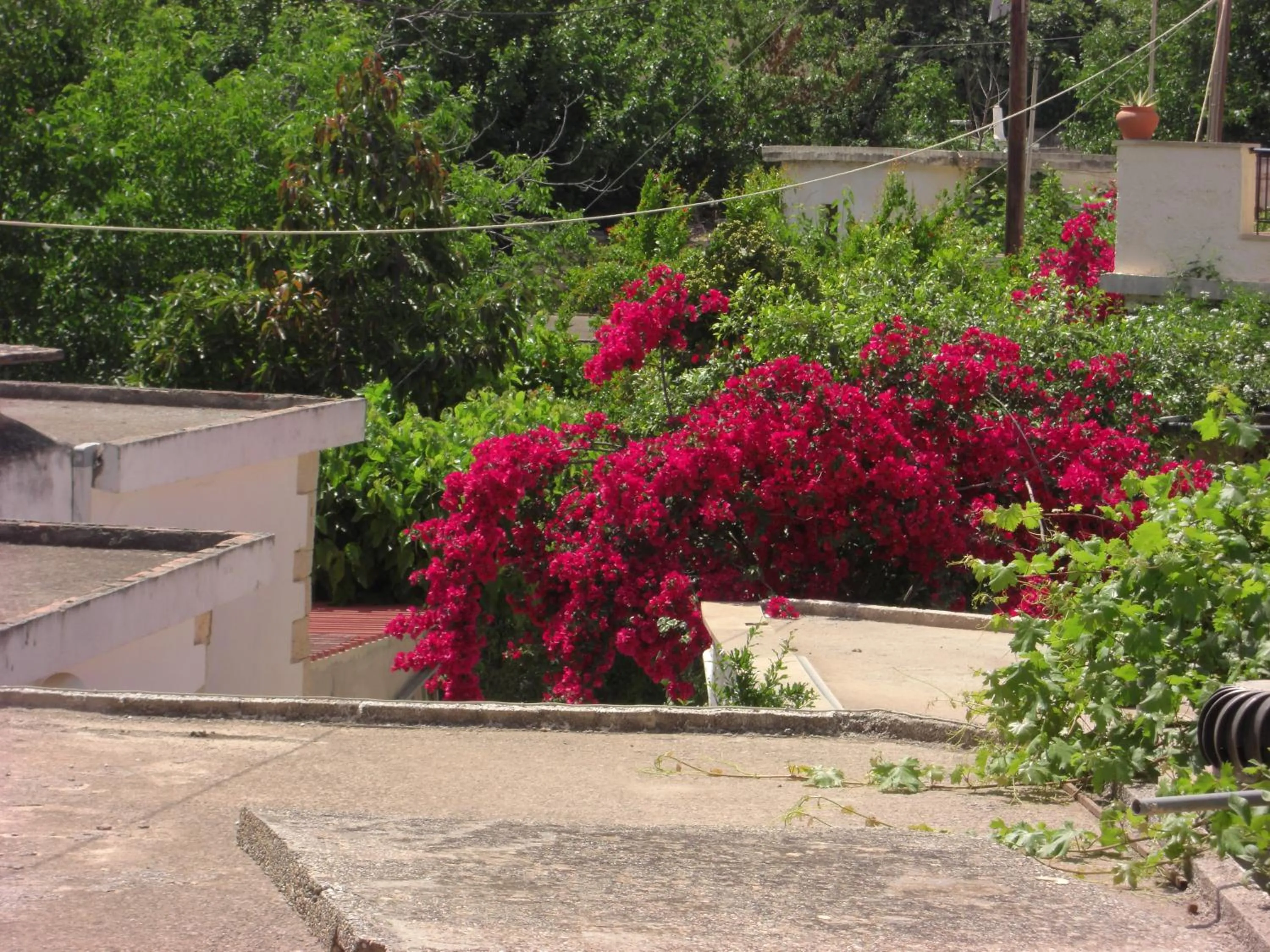 Off site in Patriko Traditional Stone Houses