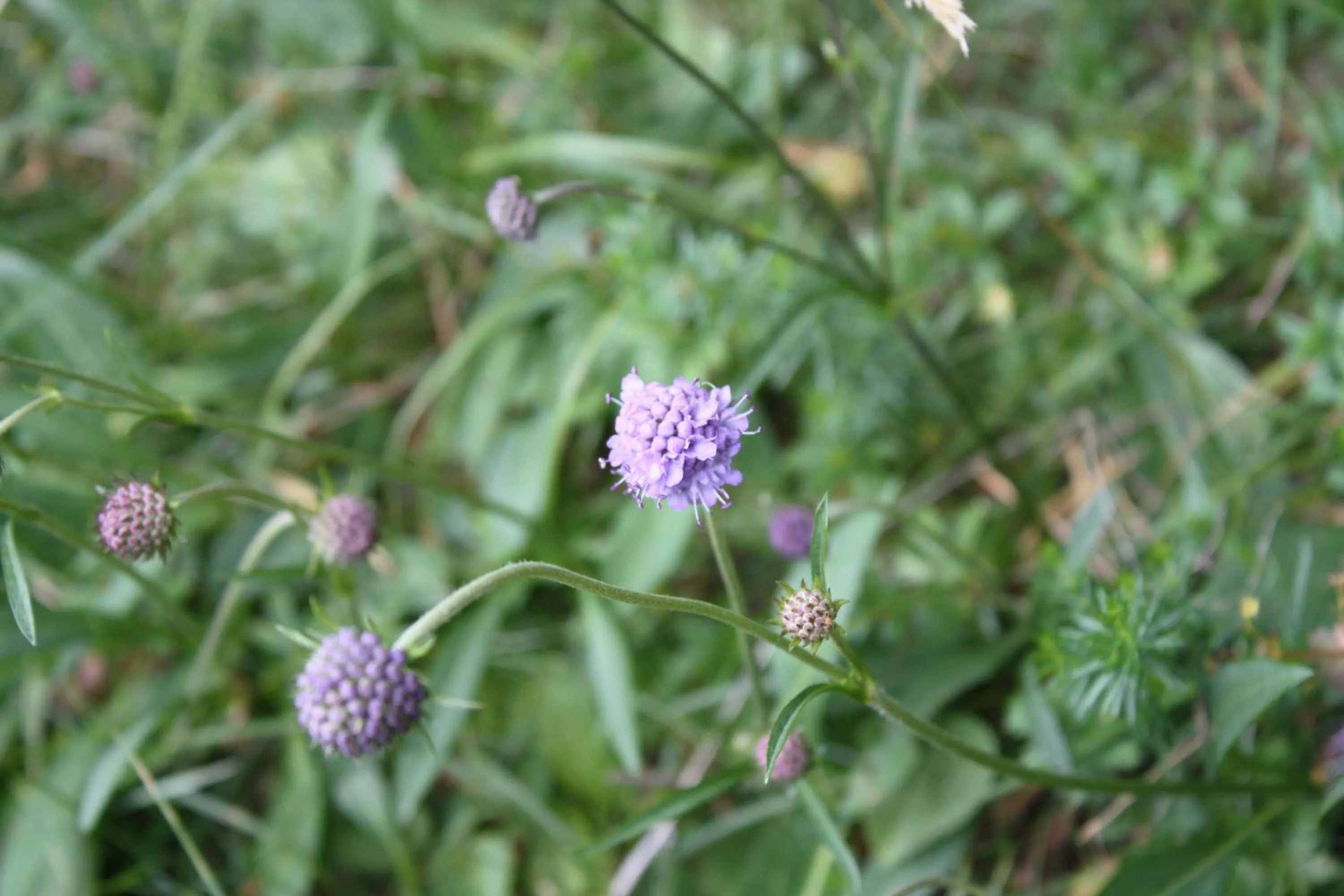 Other in The Boat Inn