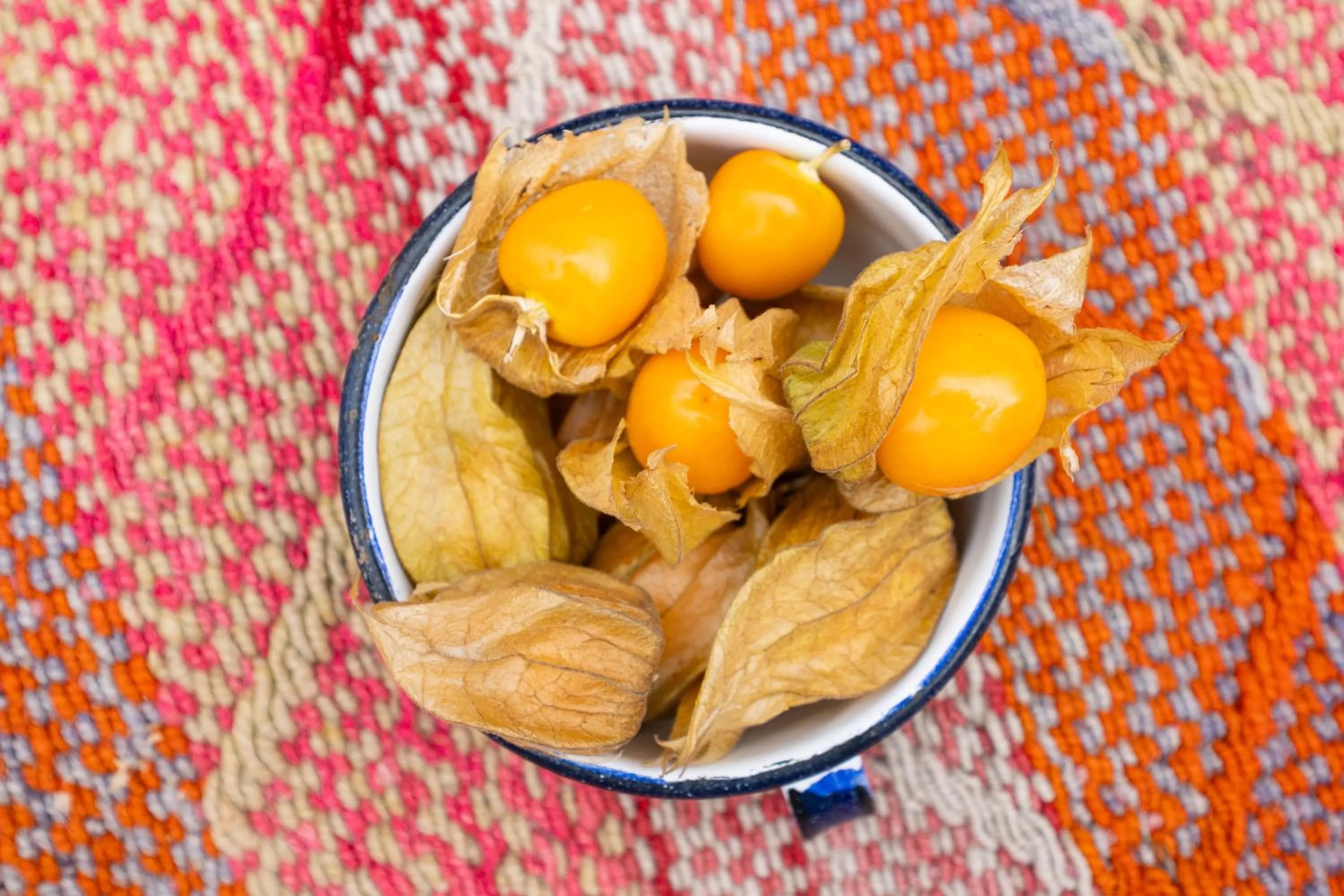 Garden in Unuwasi Hotel & Villa