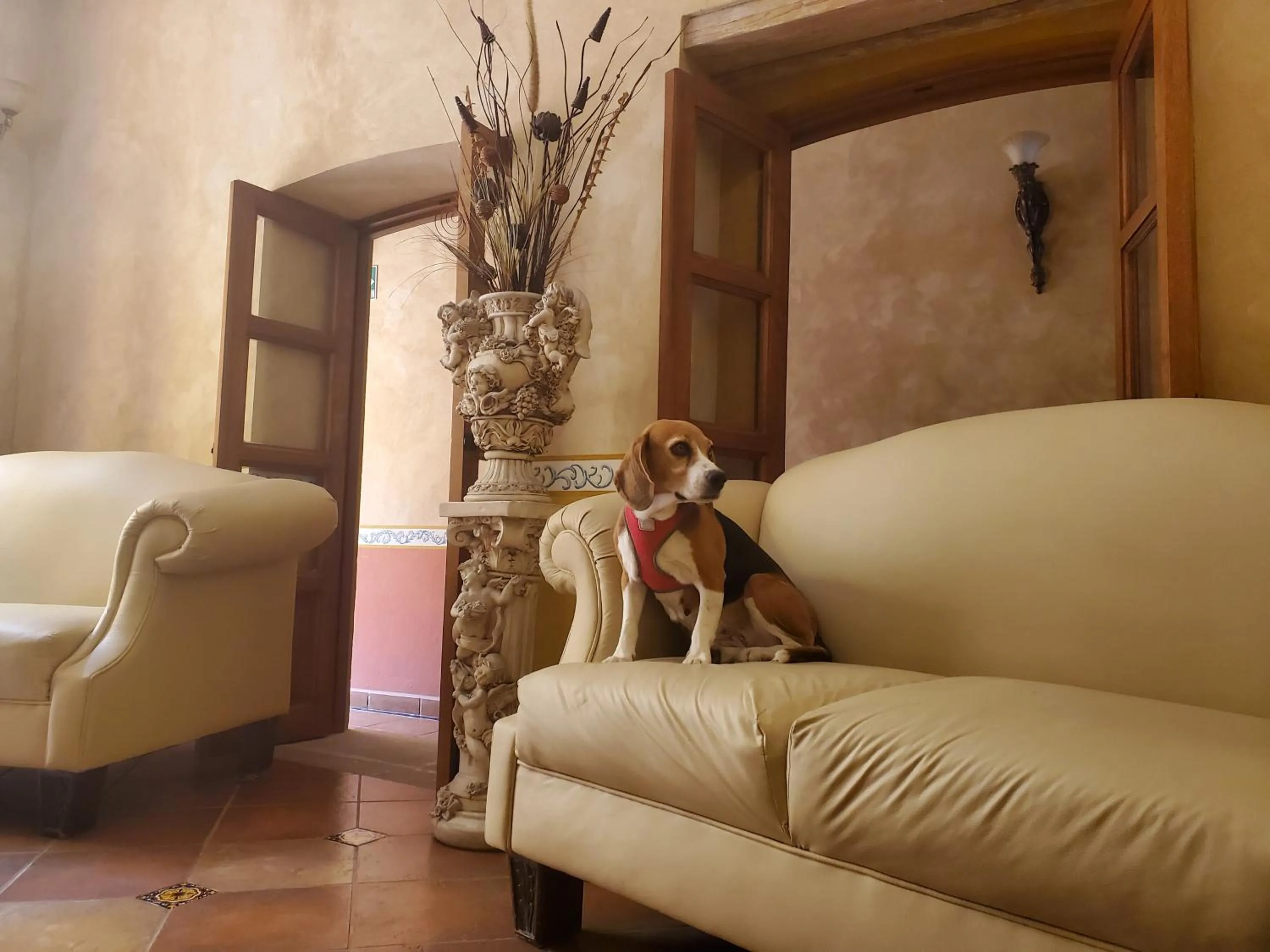 Pets in Hotel Villarreal