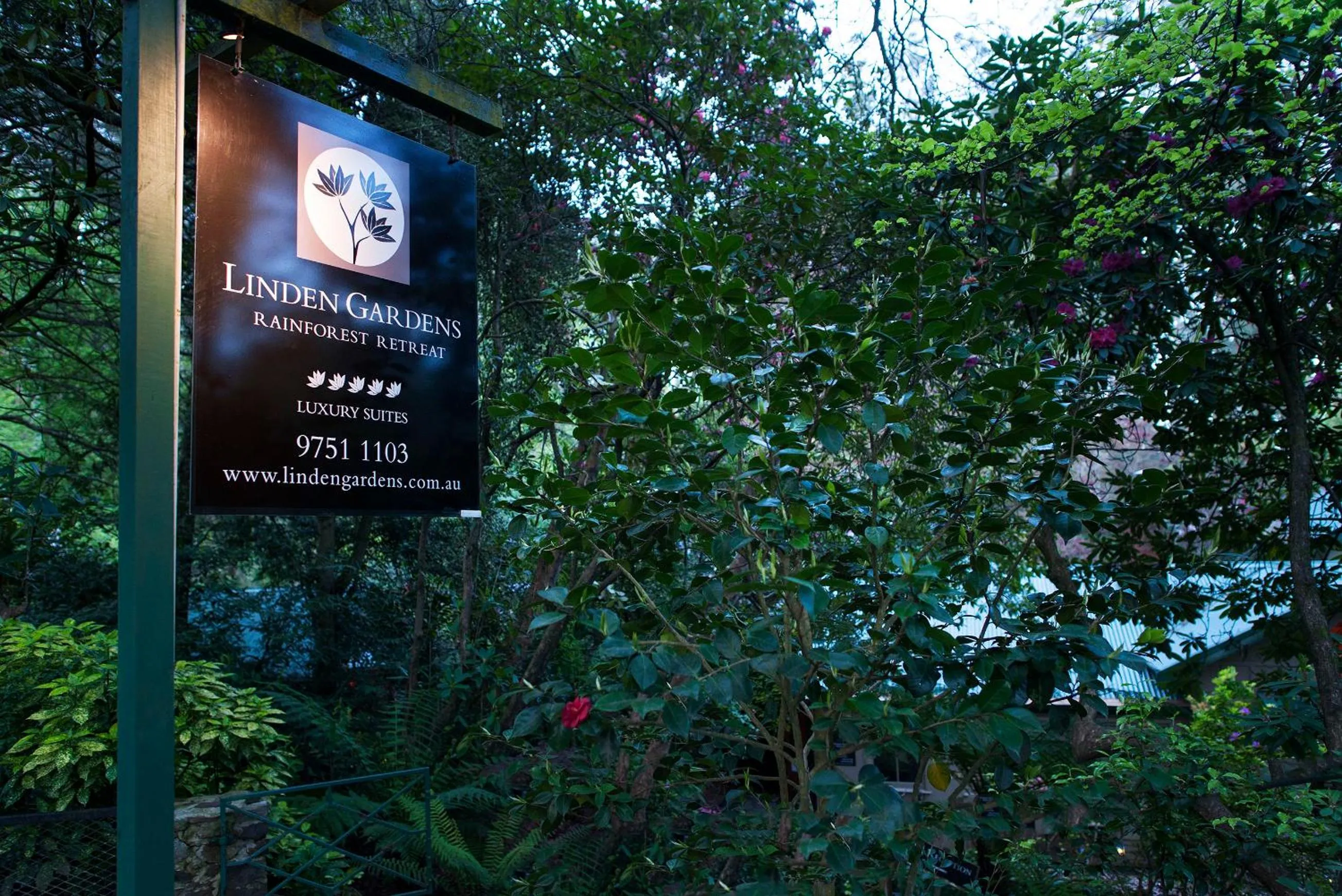 Street view in Linden Gardens Rainforest Retreat