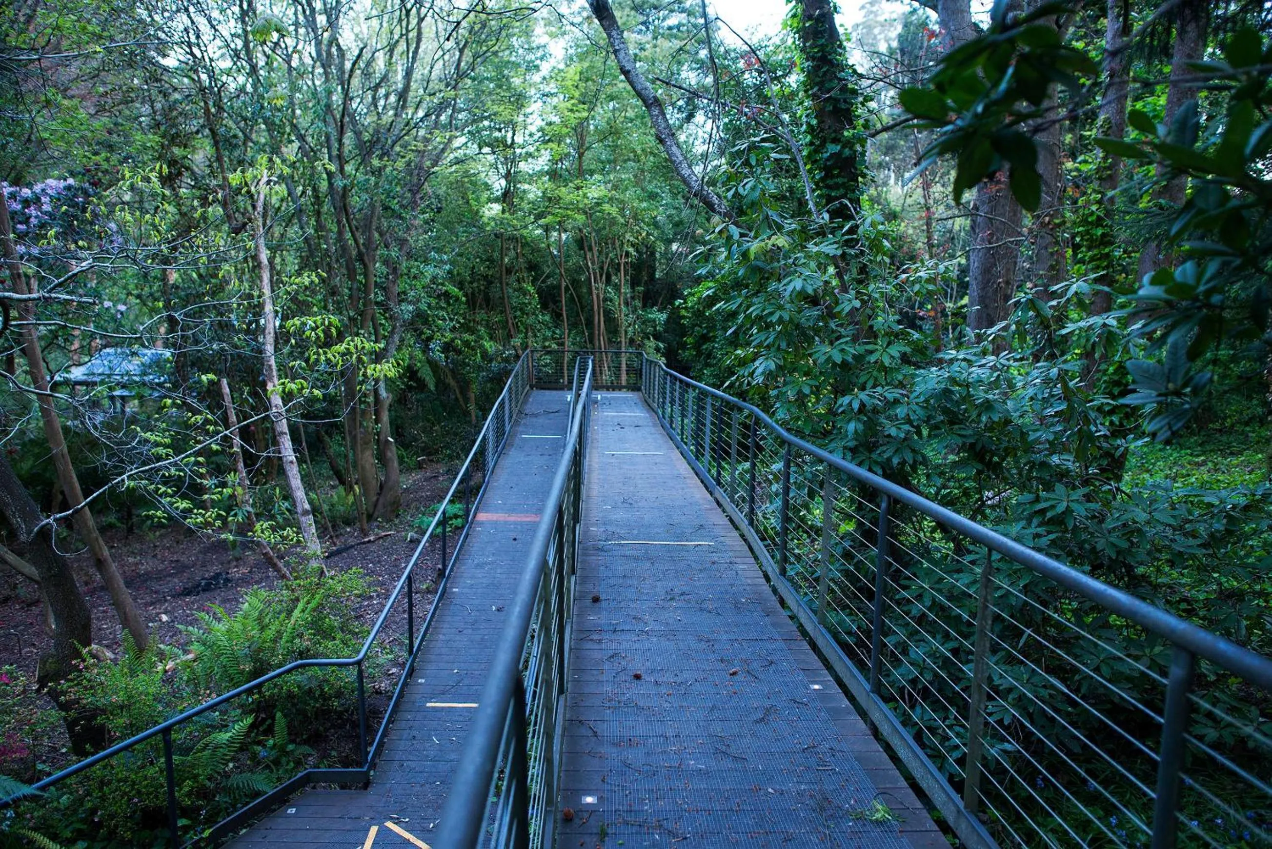 Property building in Linden Gardens Rainforest Retreat