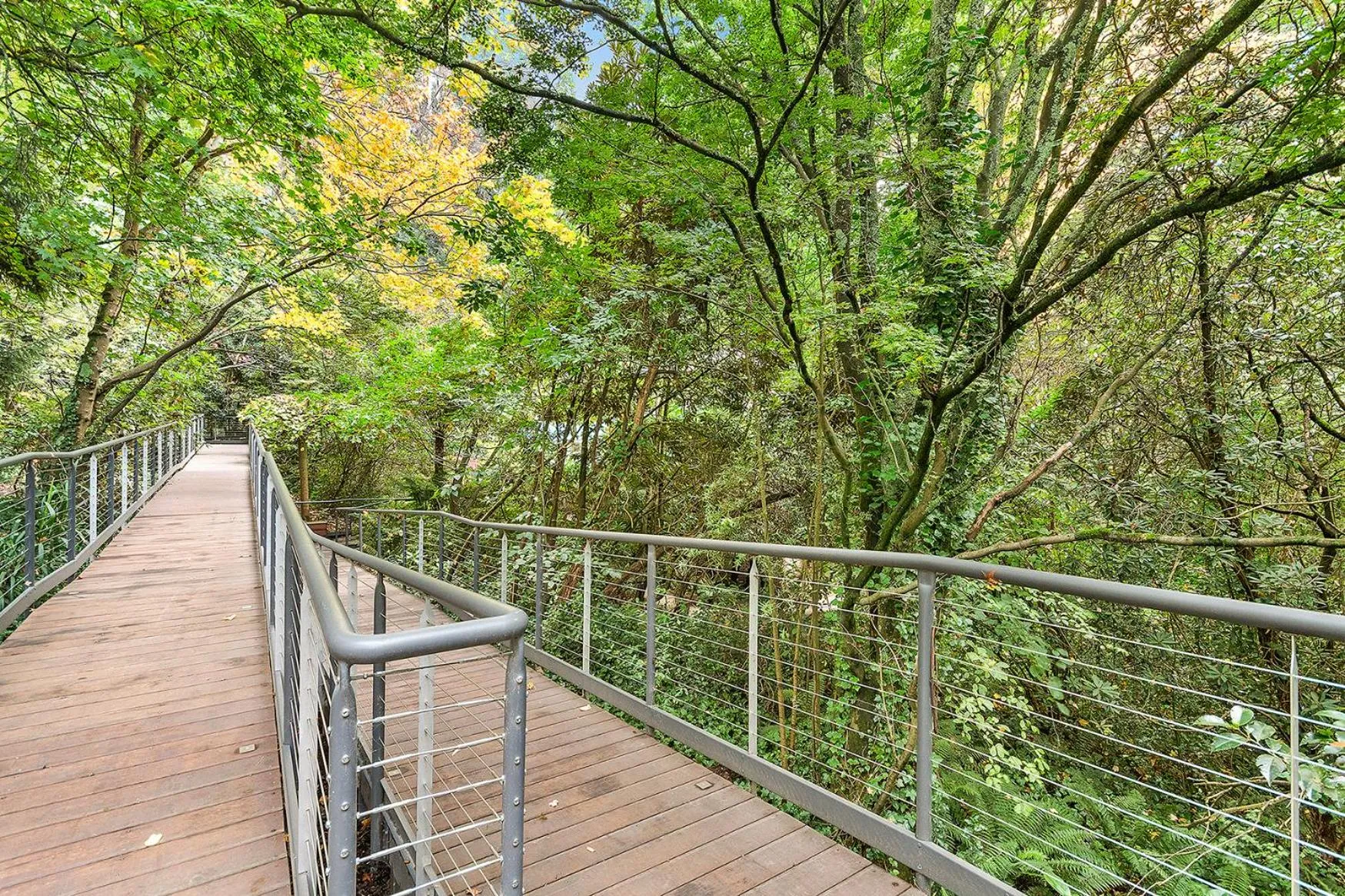 Property building in Linden Gardens Rainforest Retreat