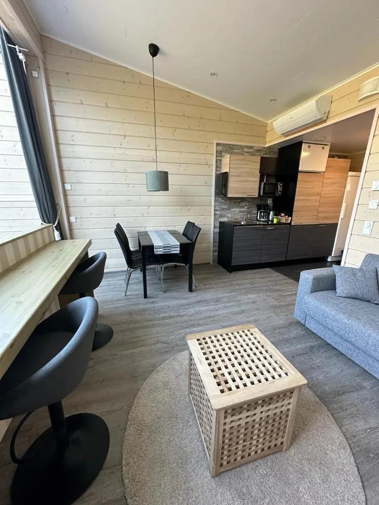 Northern Lights Village Pyhä