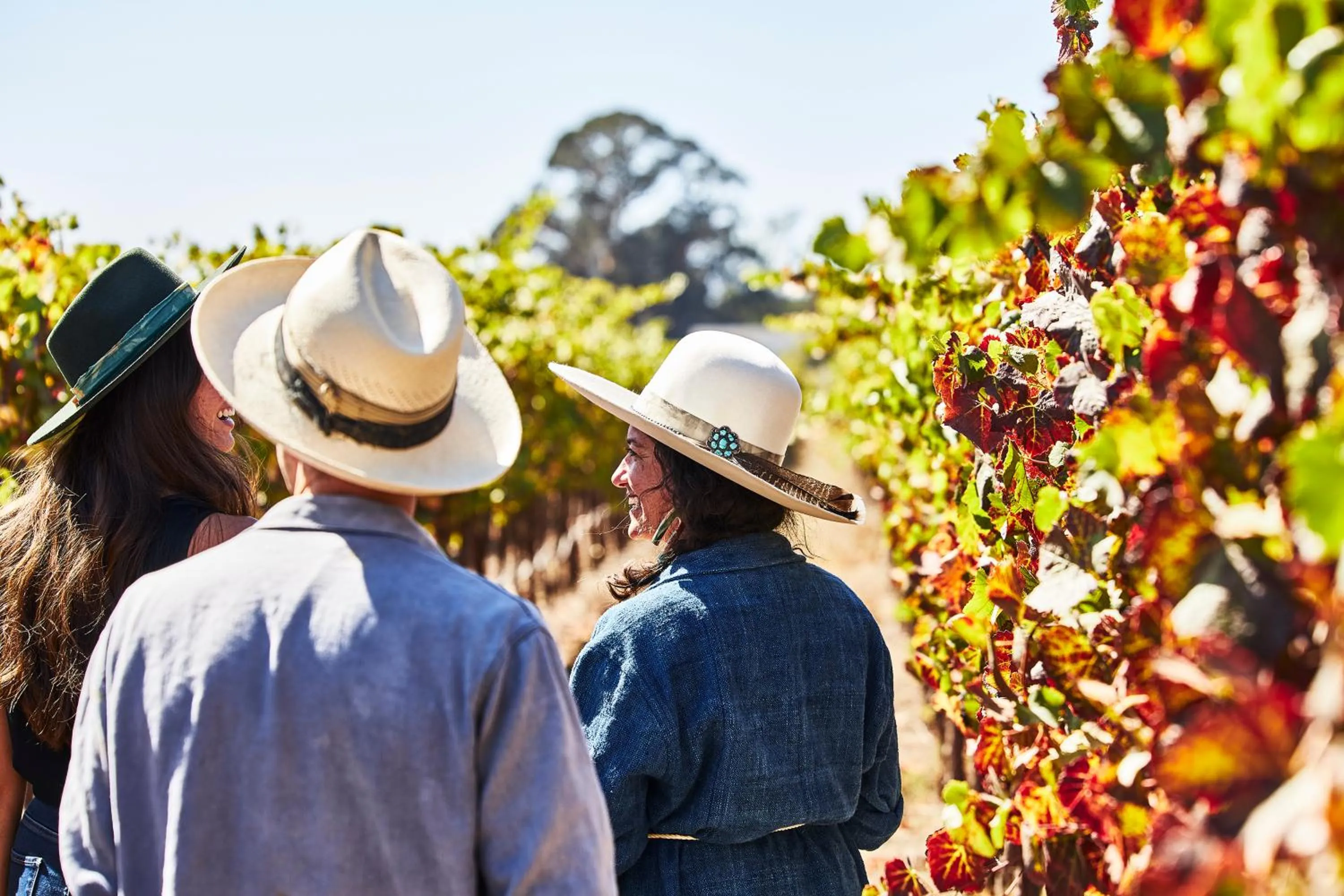 Activities in Stanly Ranch, Auberge Collection