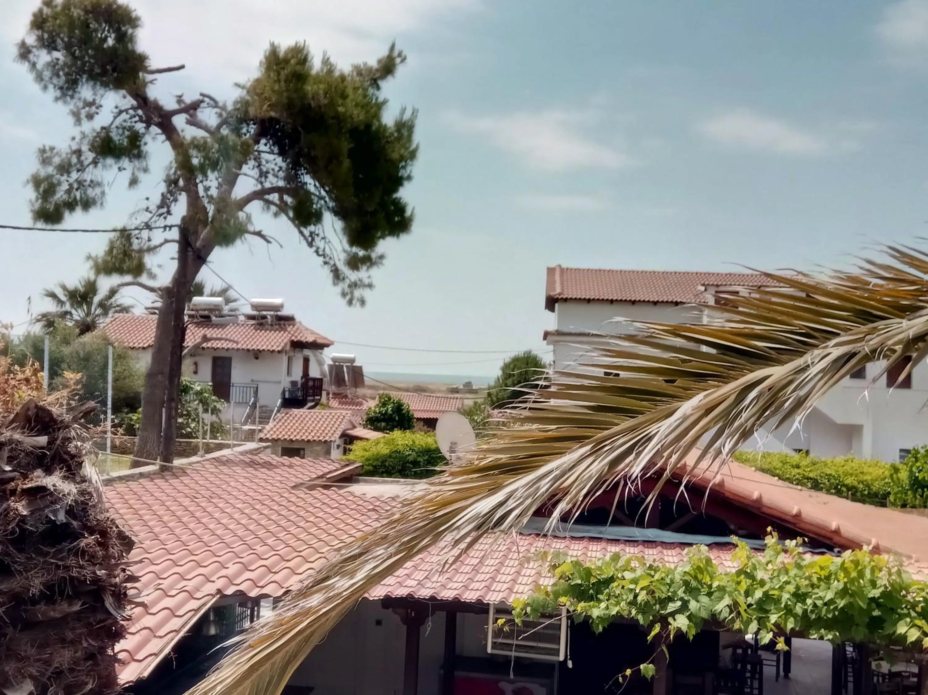 Property building in Anna Studios