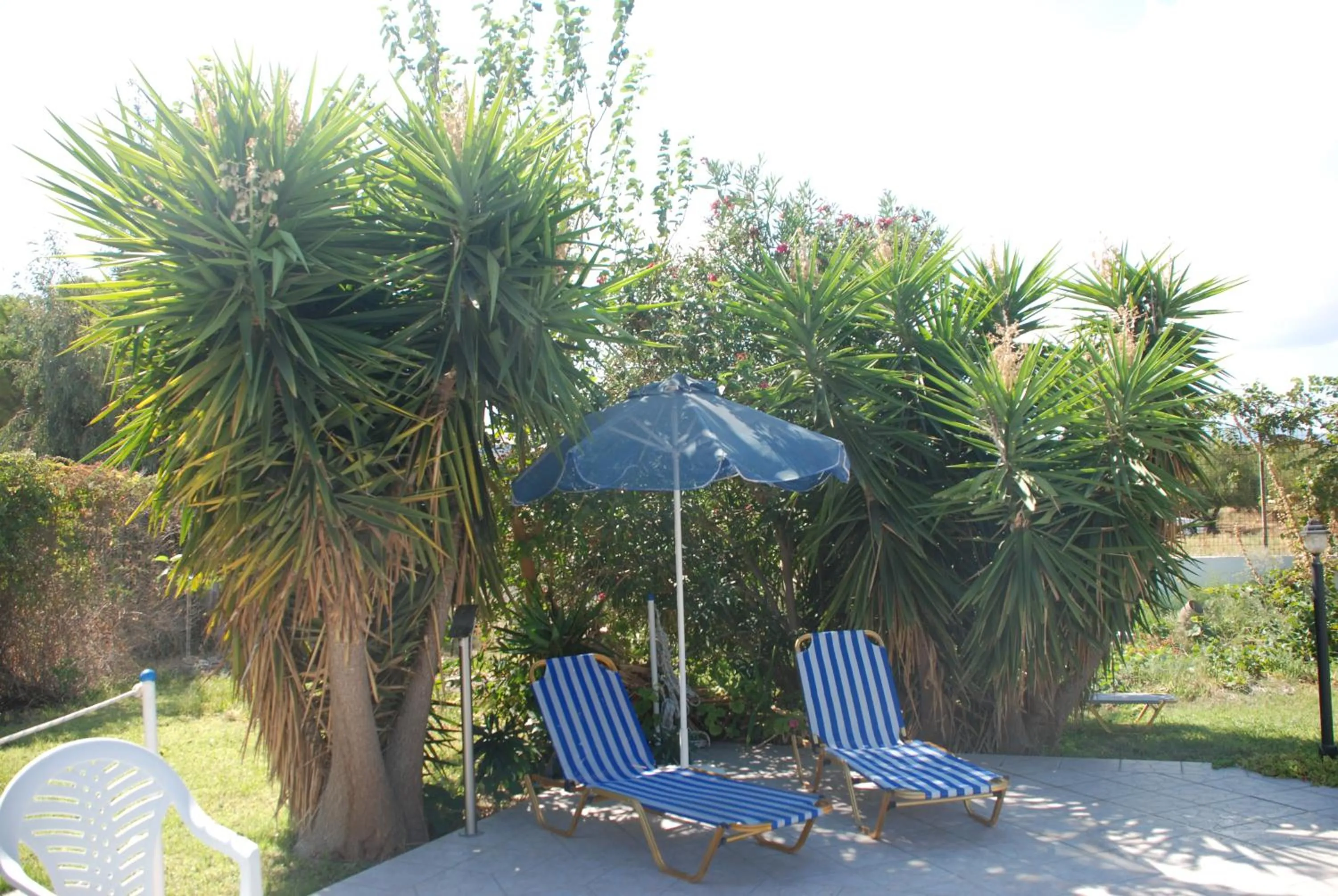 Garden in Anna Studios