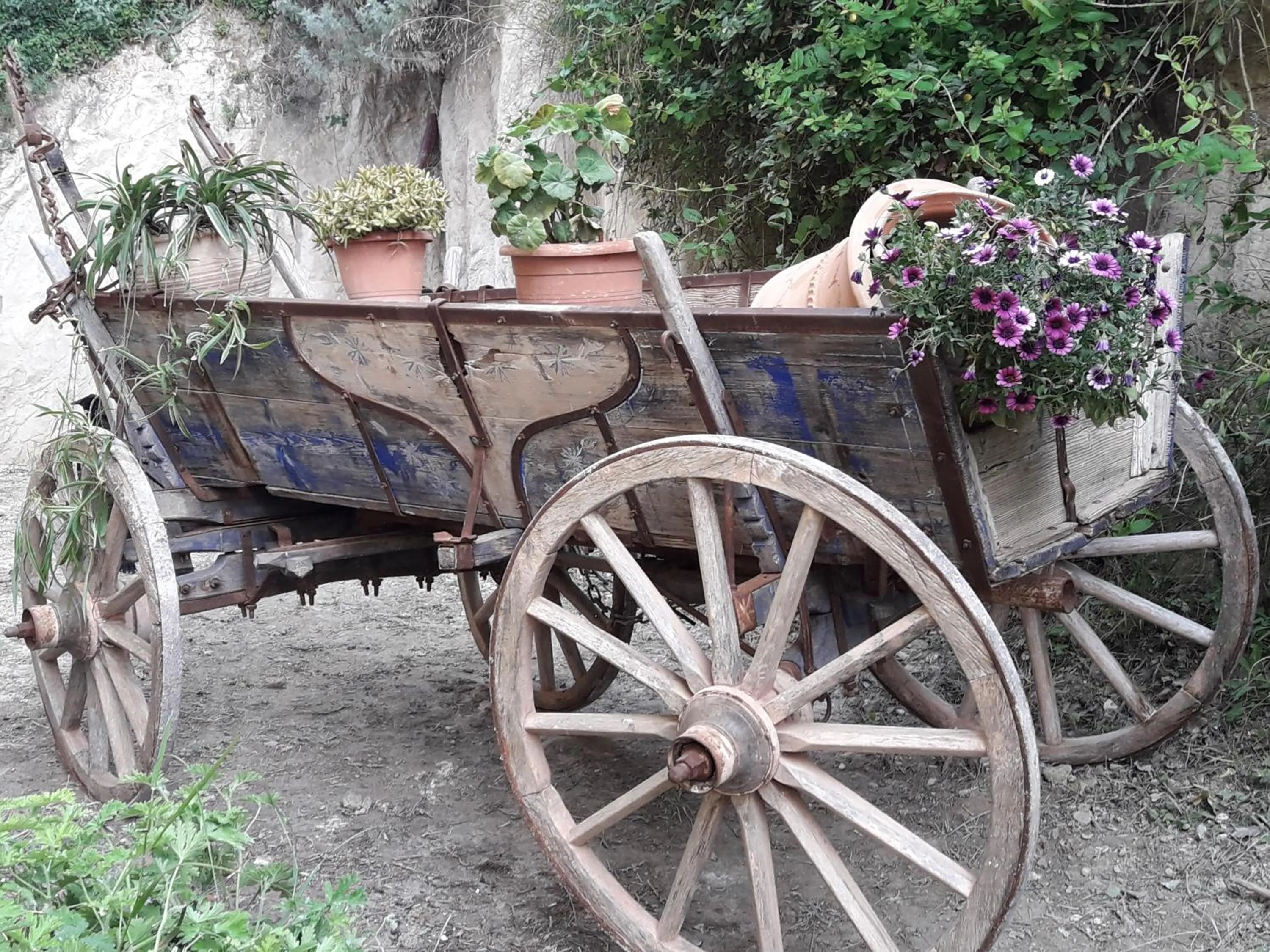 Garden in Kalyves Bay