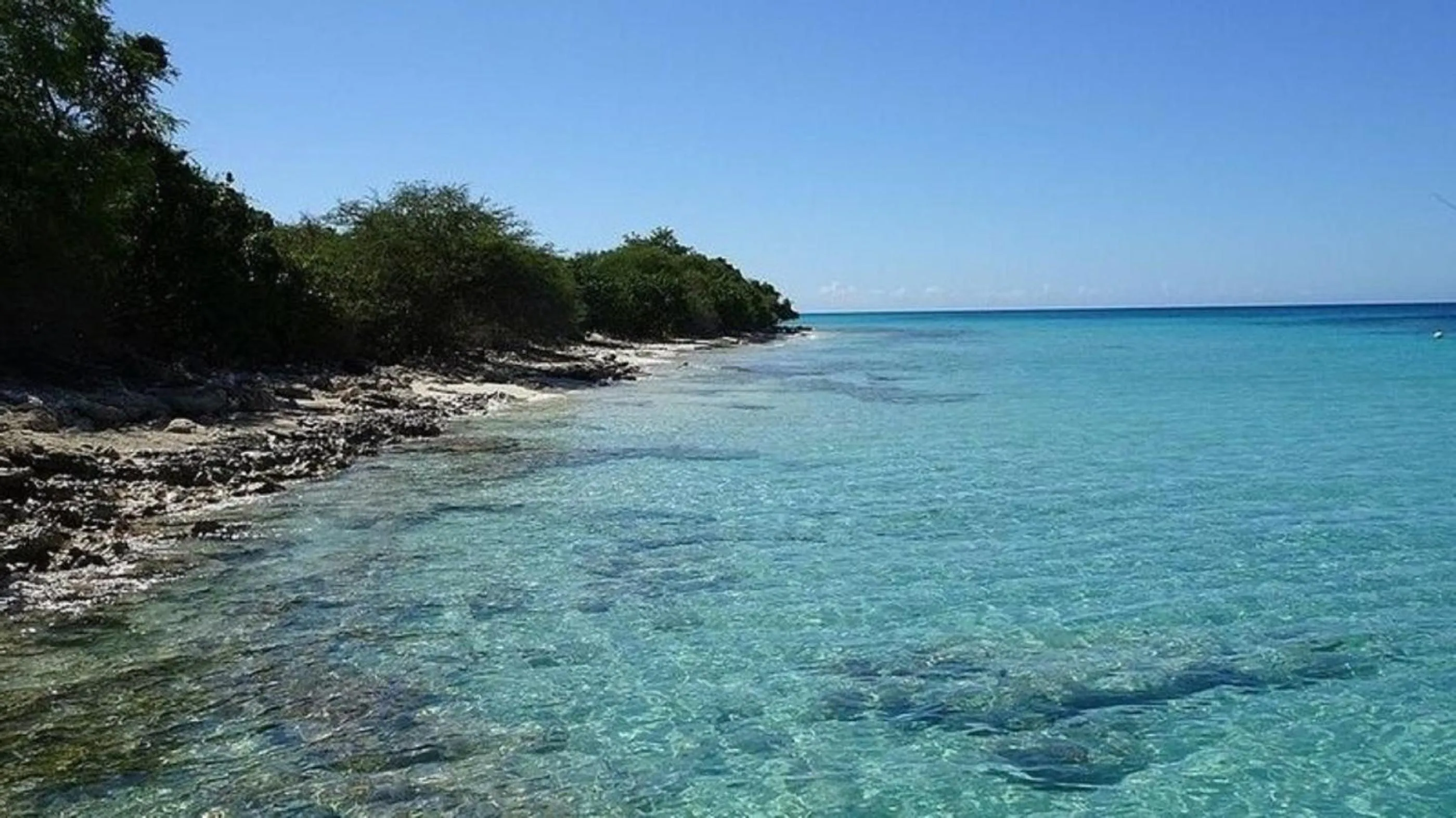 Mavs Boutique At Ponce