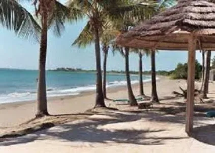 Mavs Boutique At Ponce