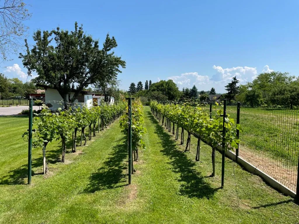 Kukorica Csárda Apartman