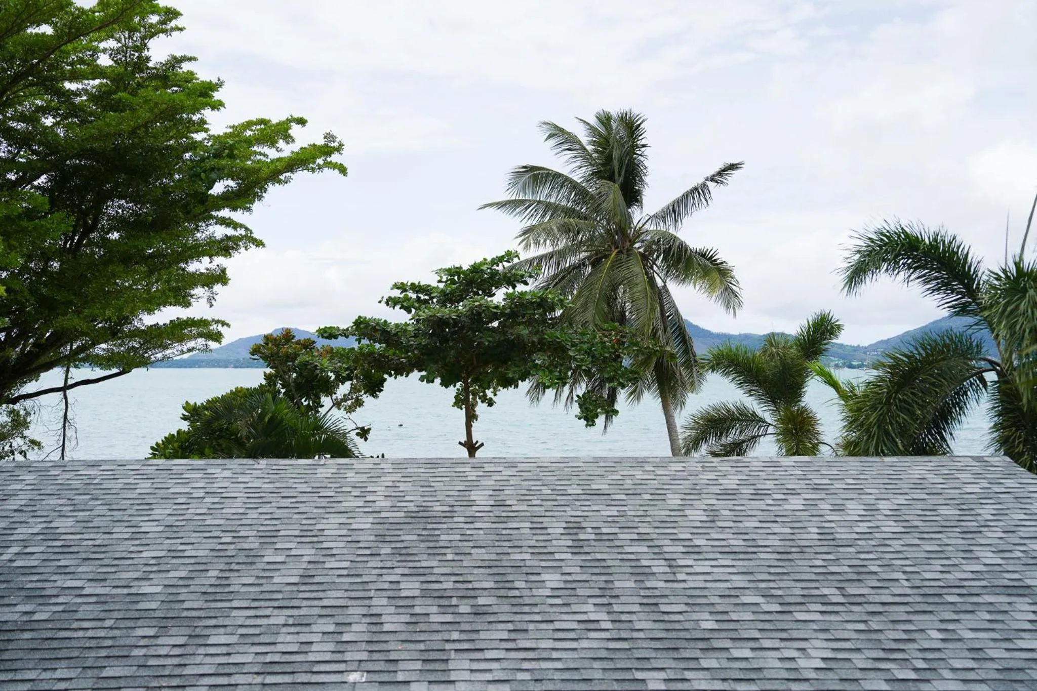 Day in Davina Beach Homes