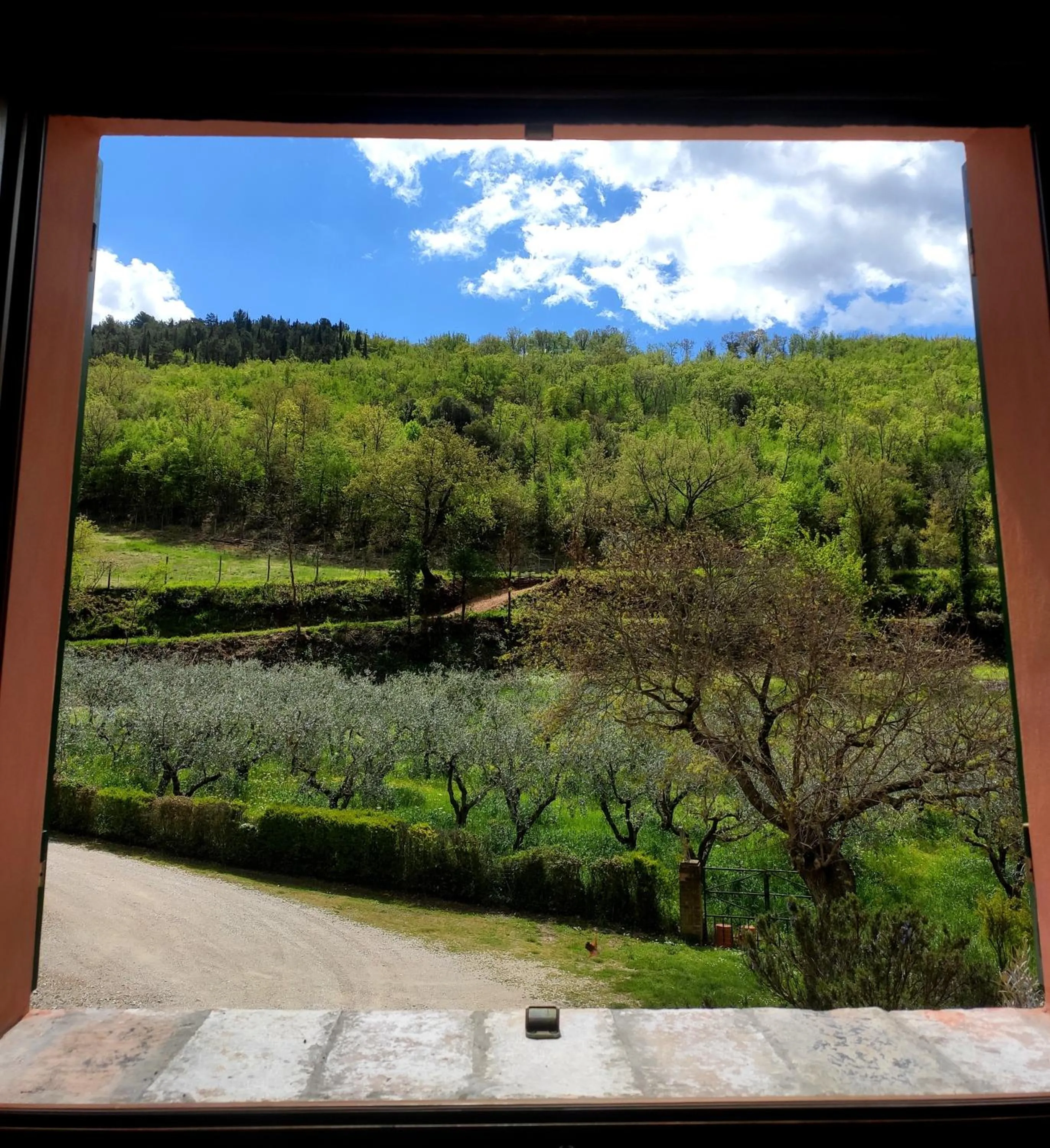 Mountain view in B&B I Martelli