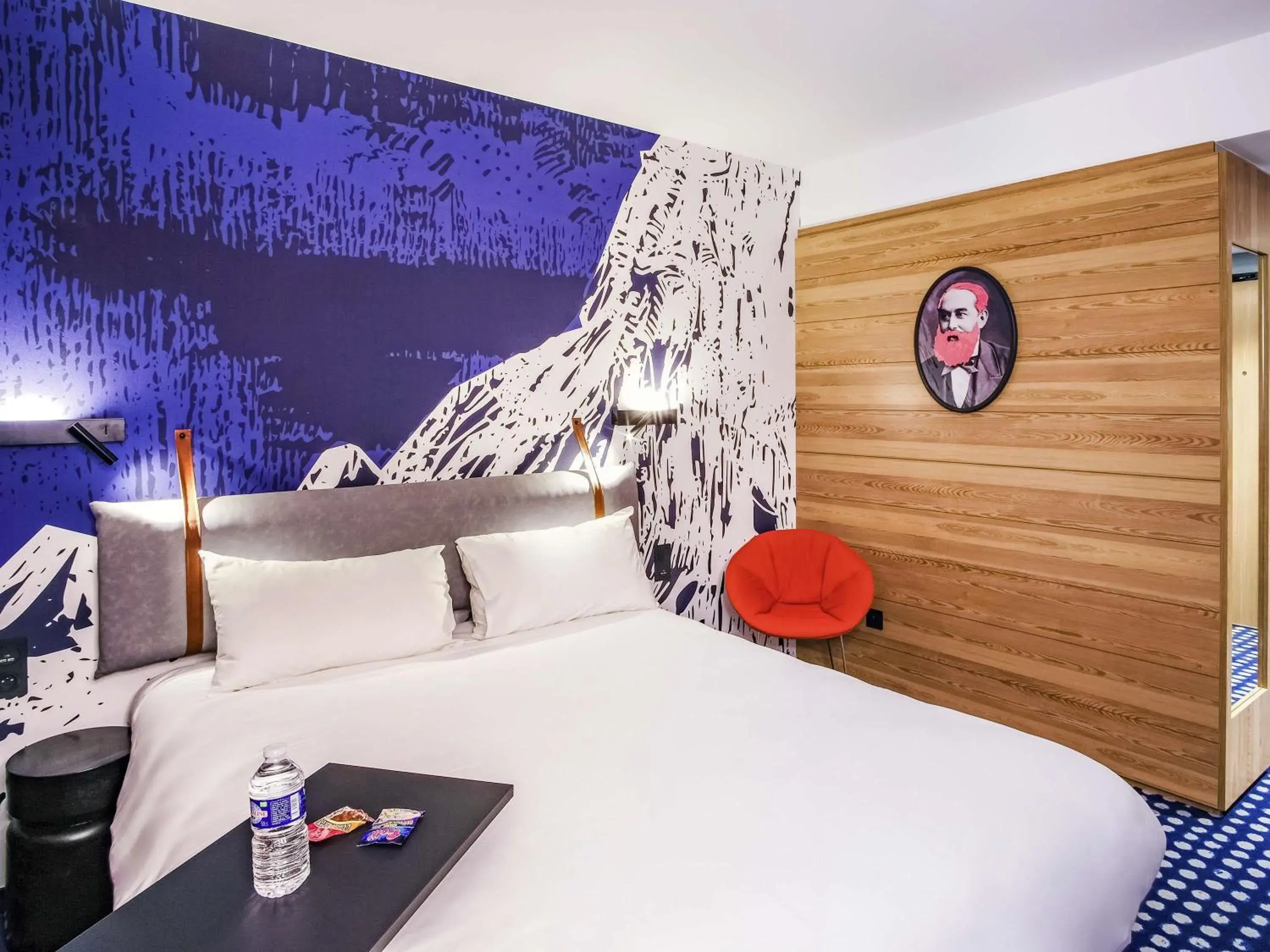 Standard Double Room - single occupancy in ibis Styles Albertville Standard Double Room - single occupancy in ibis Styles Albertville