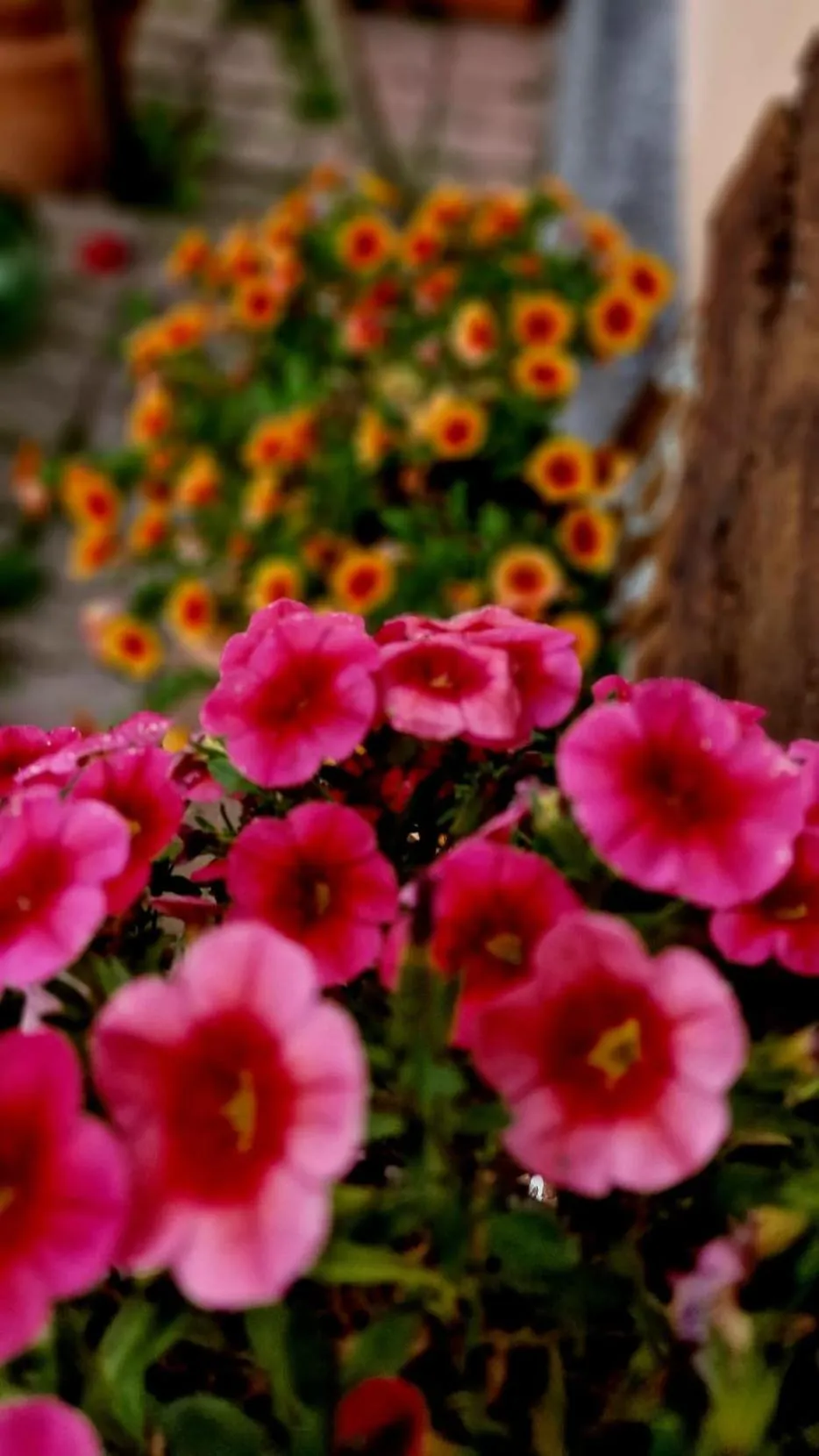 View (from property/room) in Silenzio e Buio