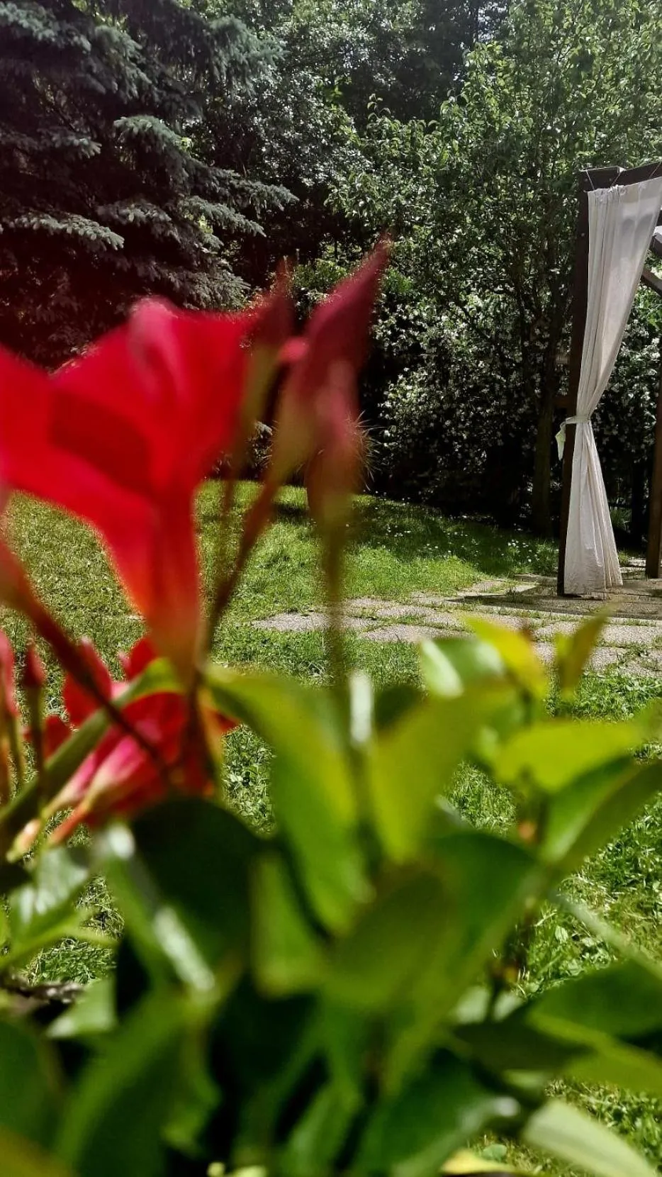 Garden view in Silenzio e Buio