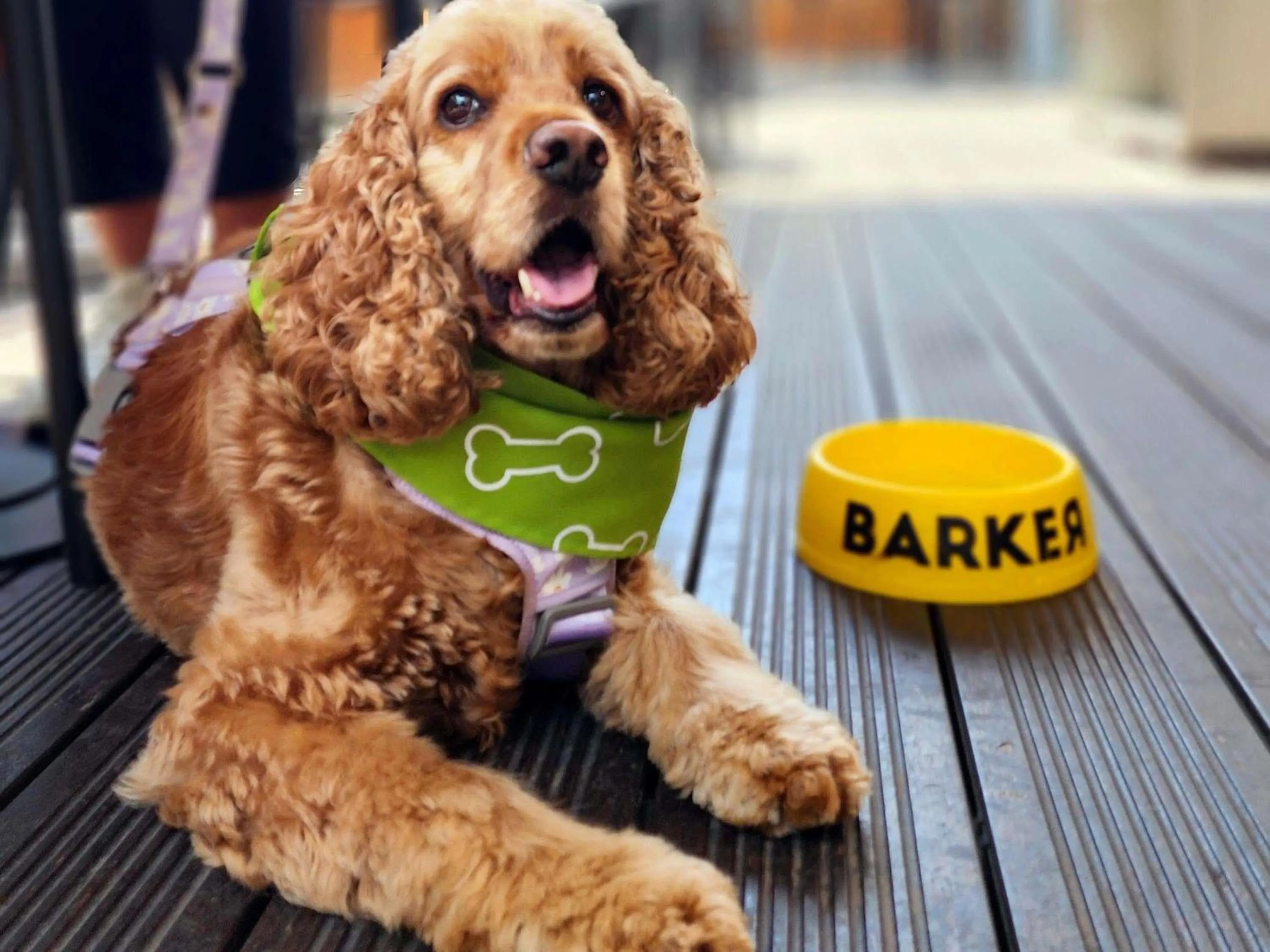 Other in ibis styles Lima San Isidro