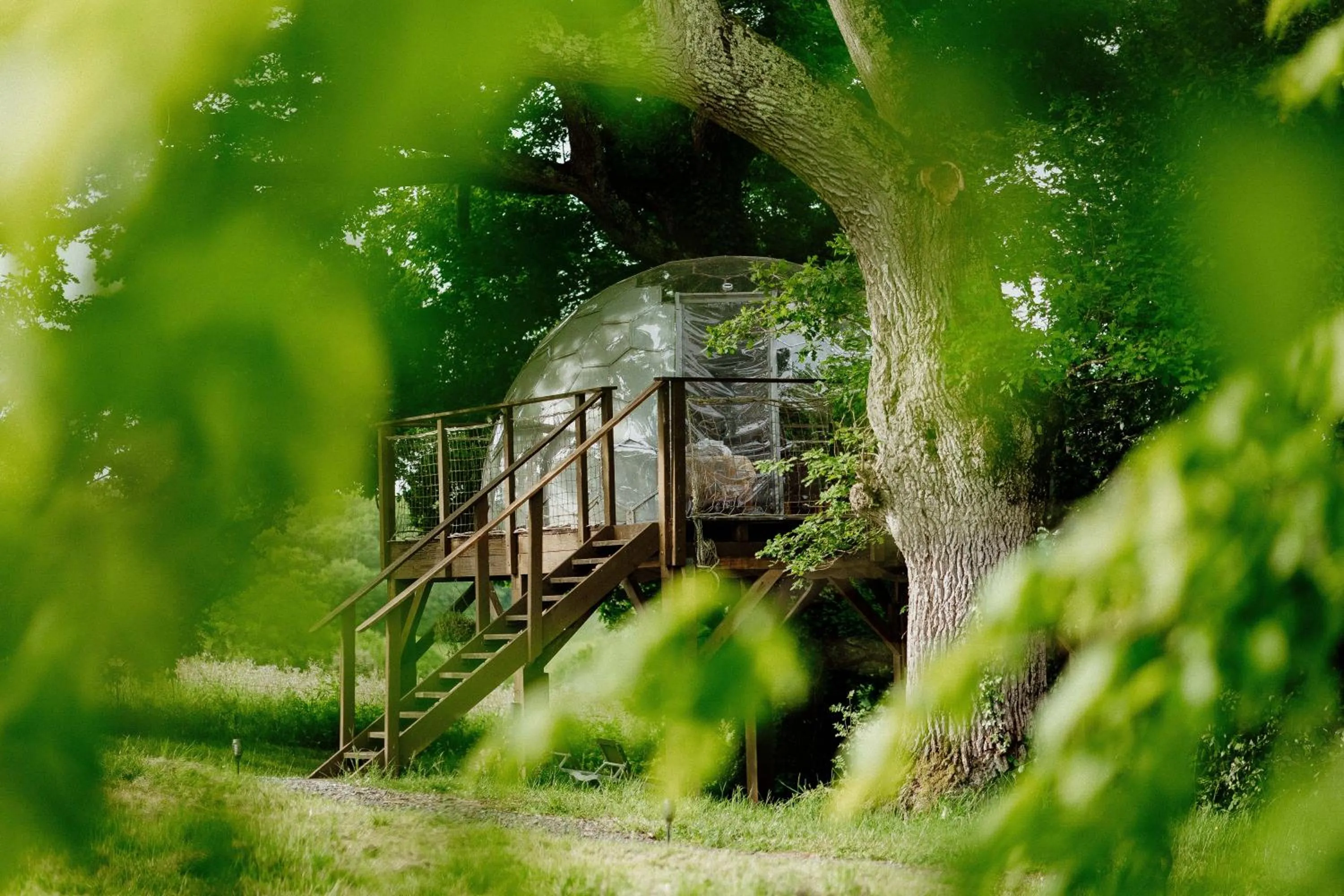 les bulles perchées de lartigue