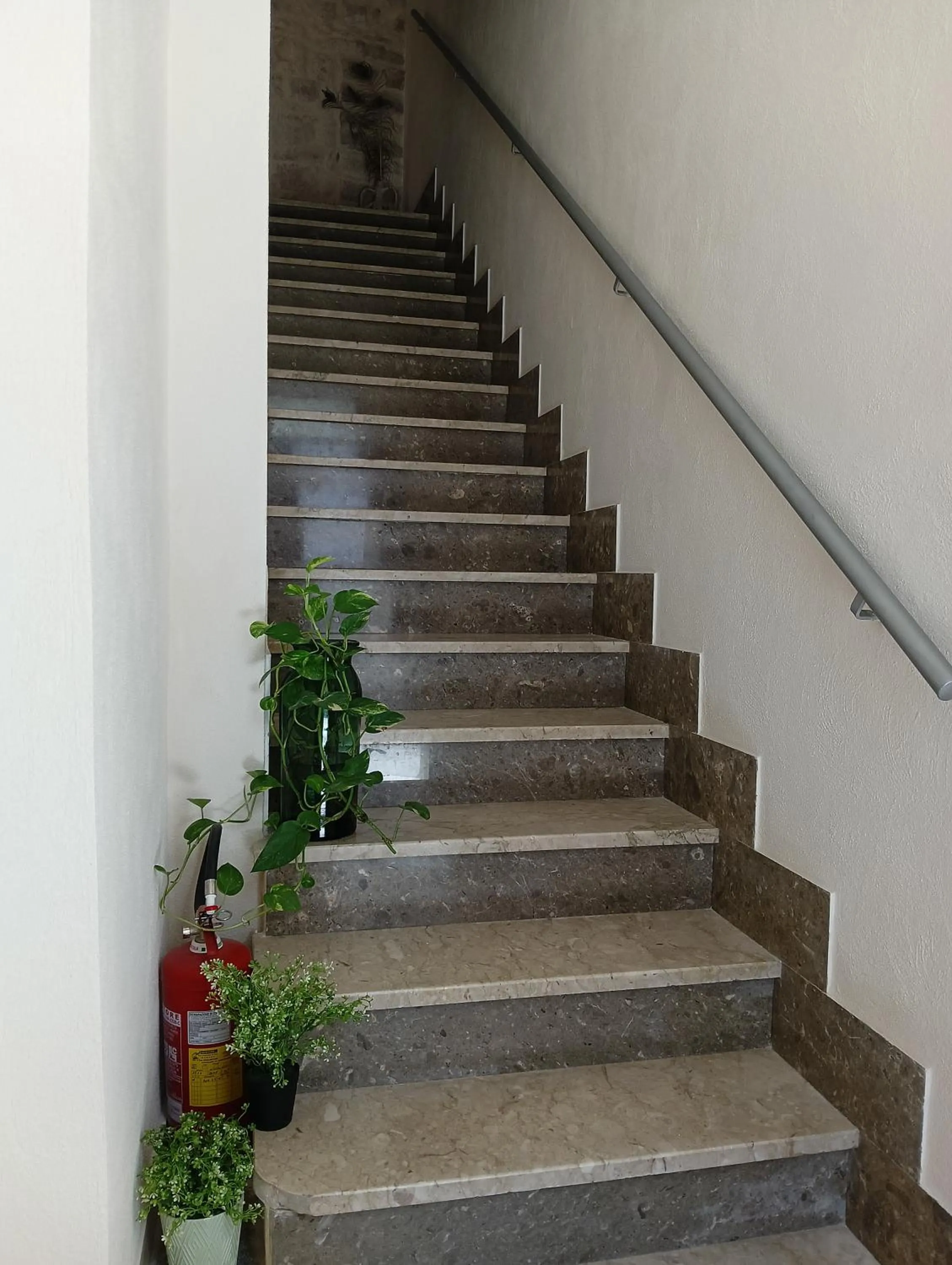 Piccola Azzurra Branch