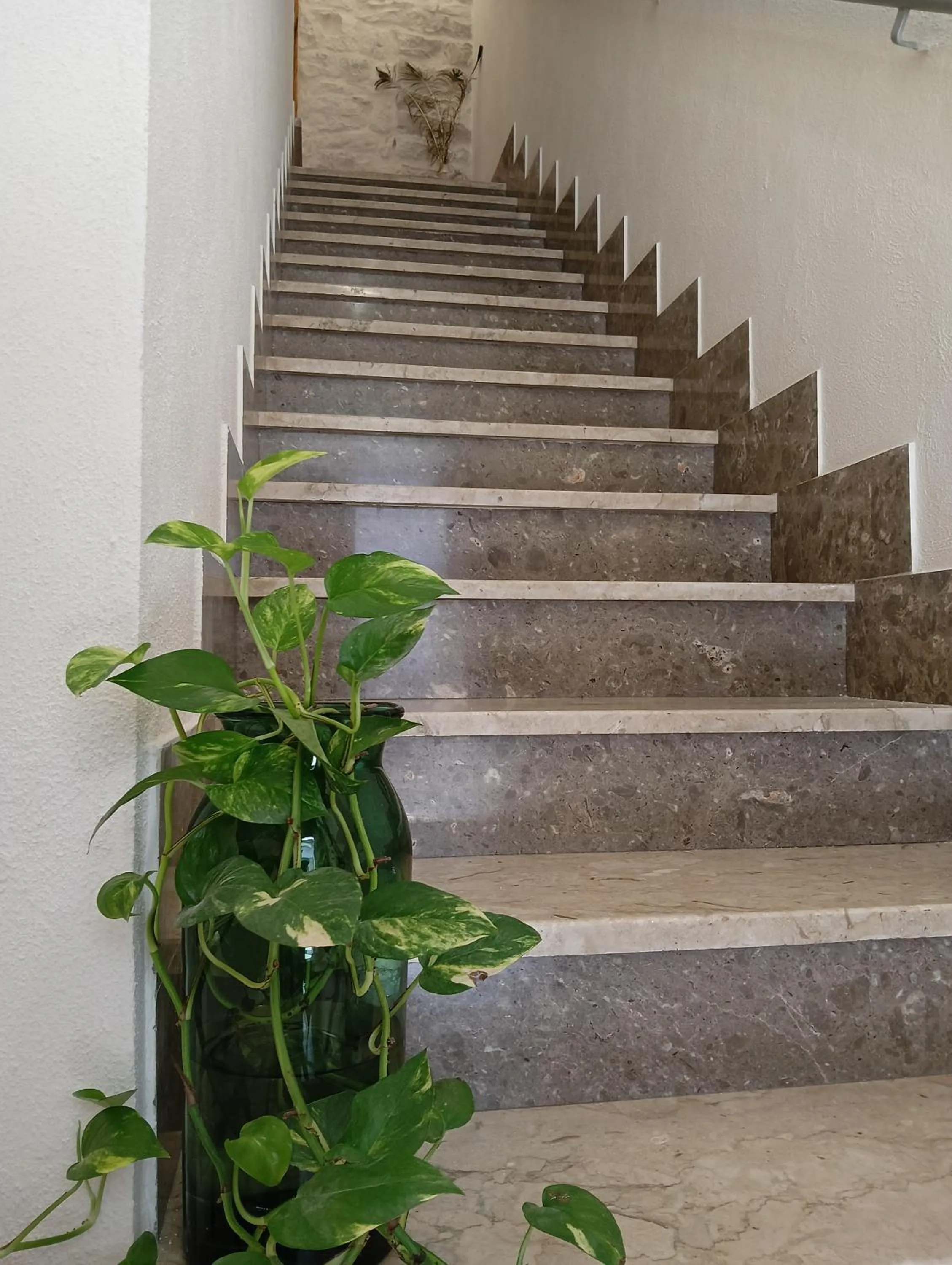 Piccola Azzurra Branch