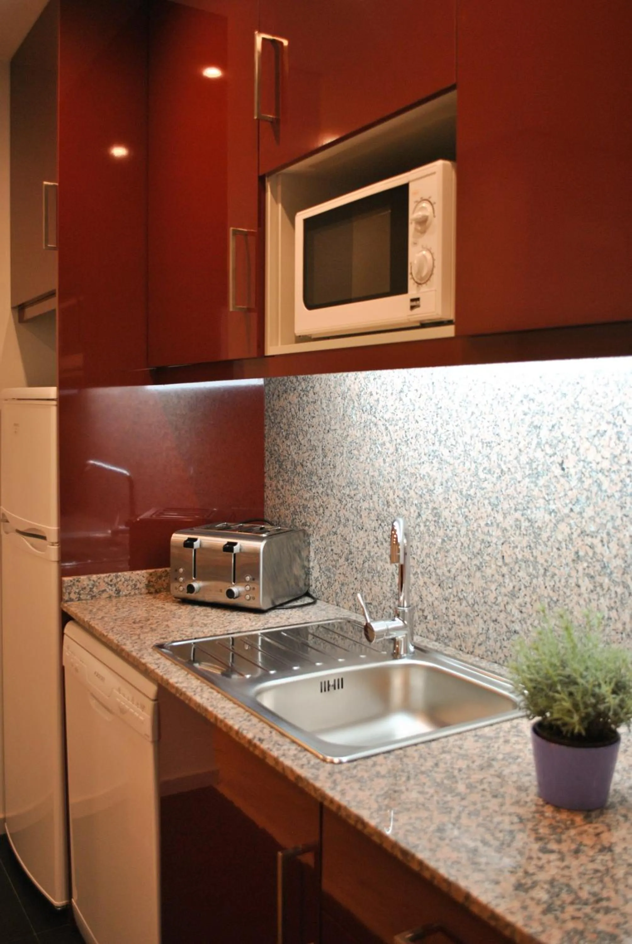 Kitchen or kitchenette in Apartamentos Portodouro - Santa Catarina