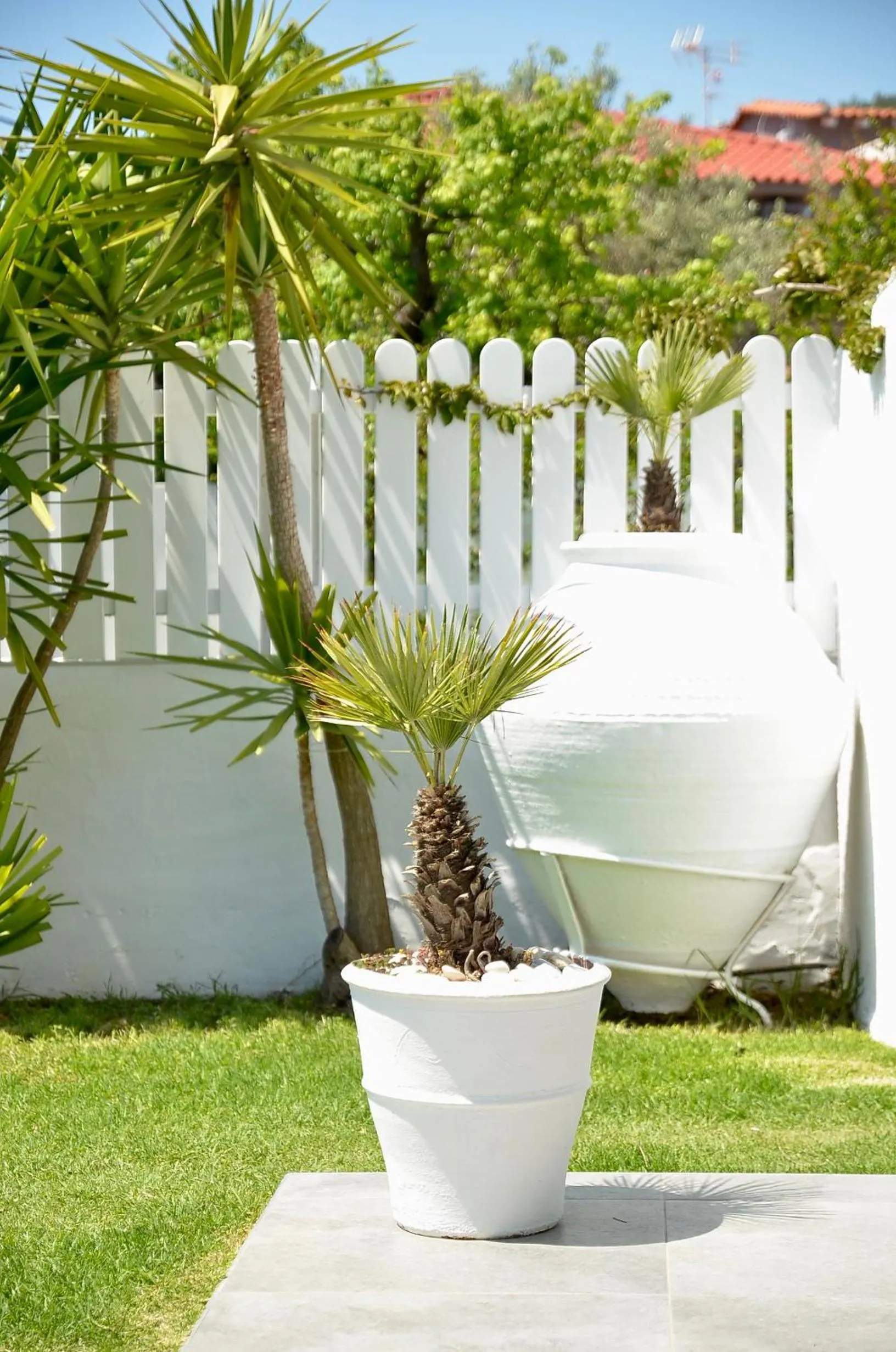 Garden in Anemoni Beach Hotel