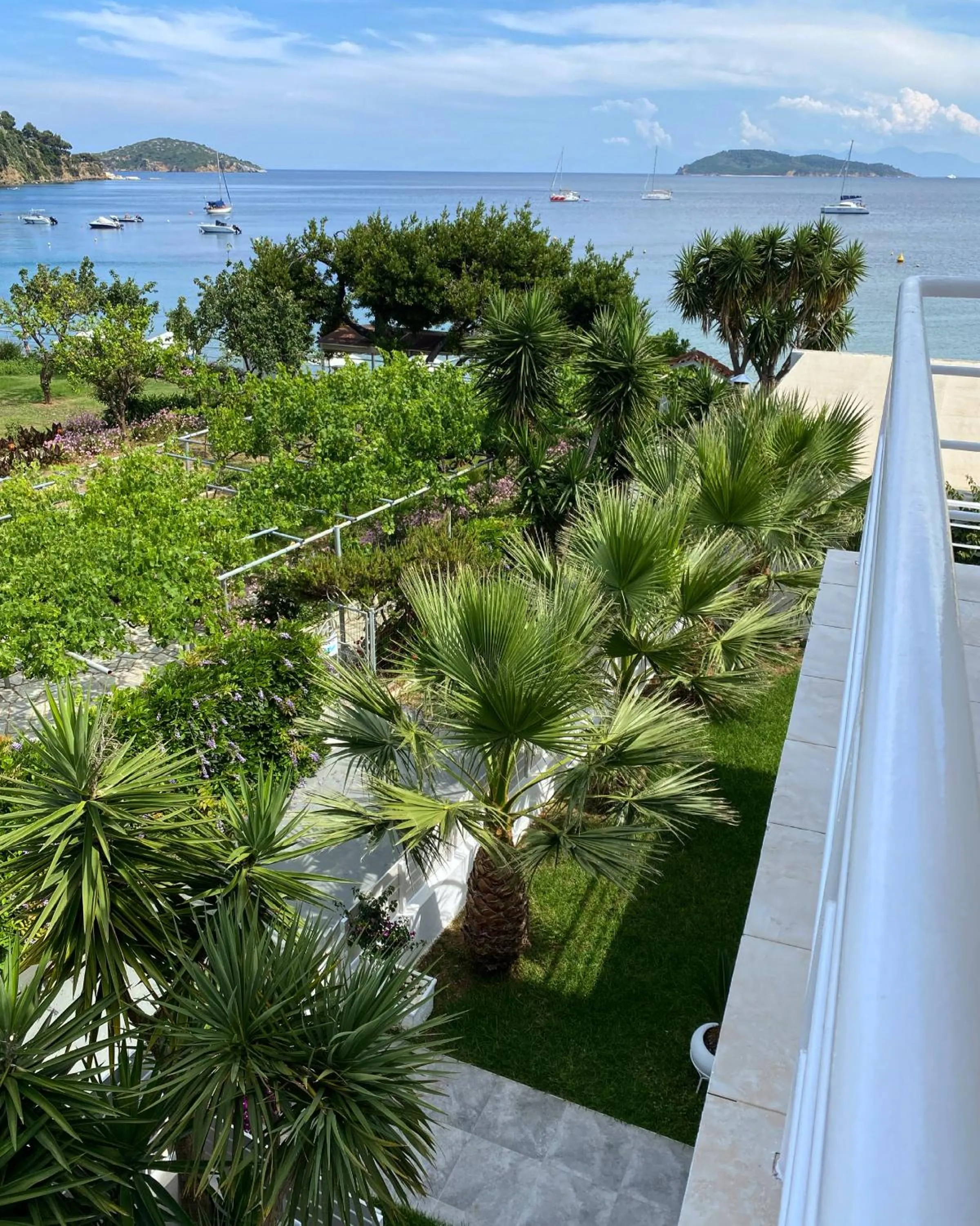 Garden view in Anemoni Beach Hotel