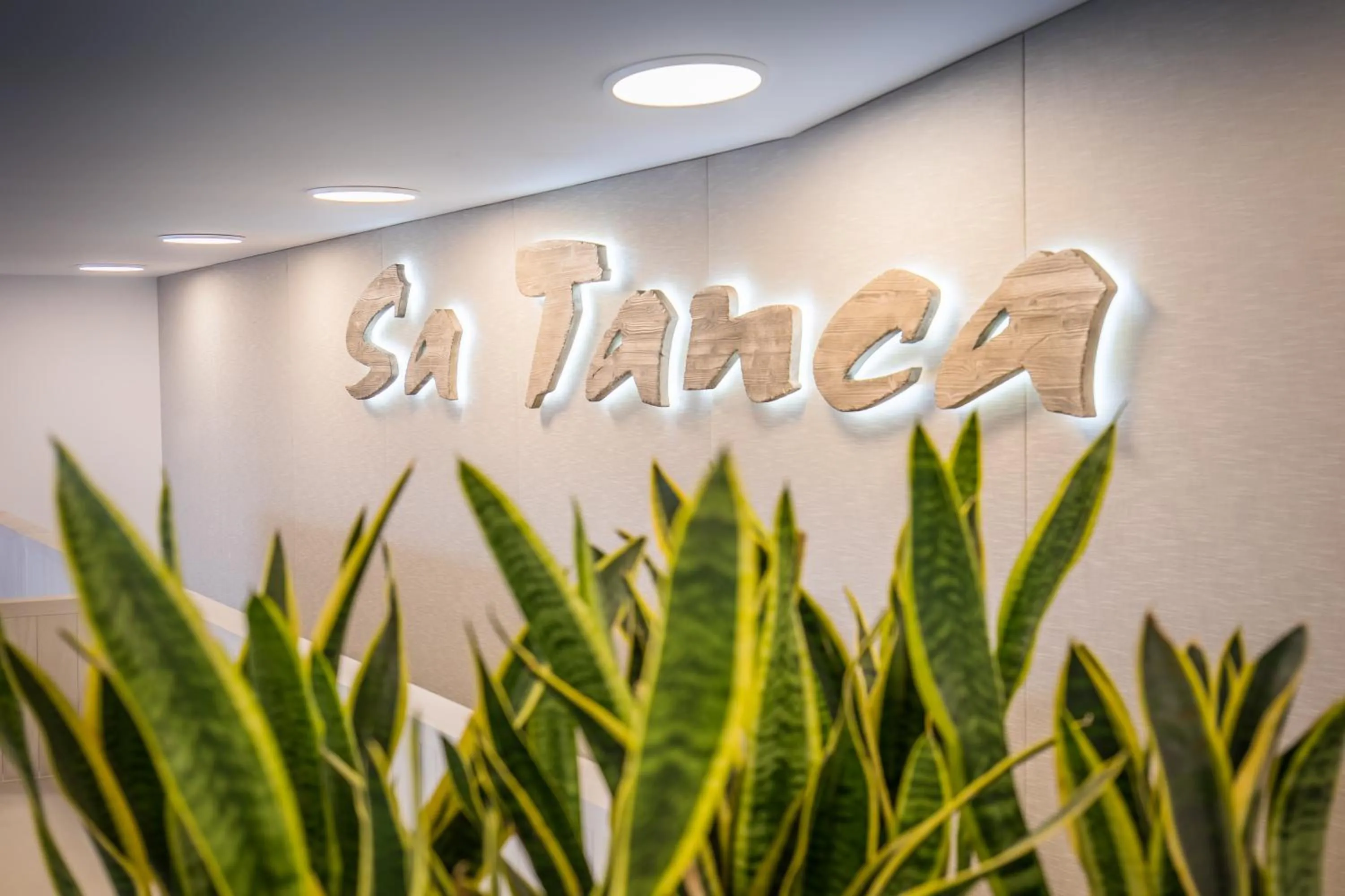 Restaurant/places to eat in Barceló Nura