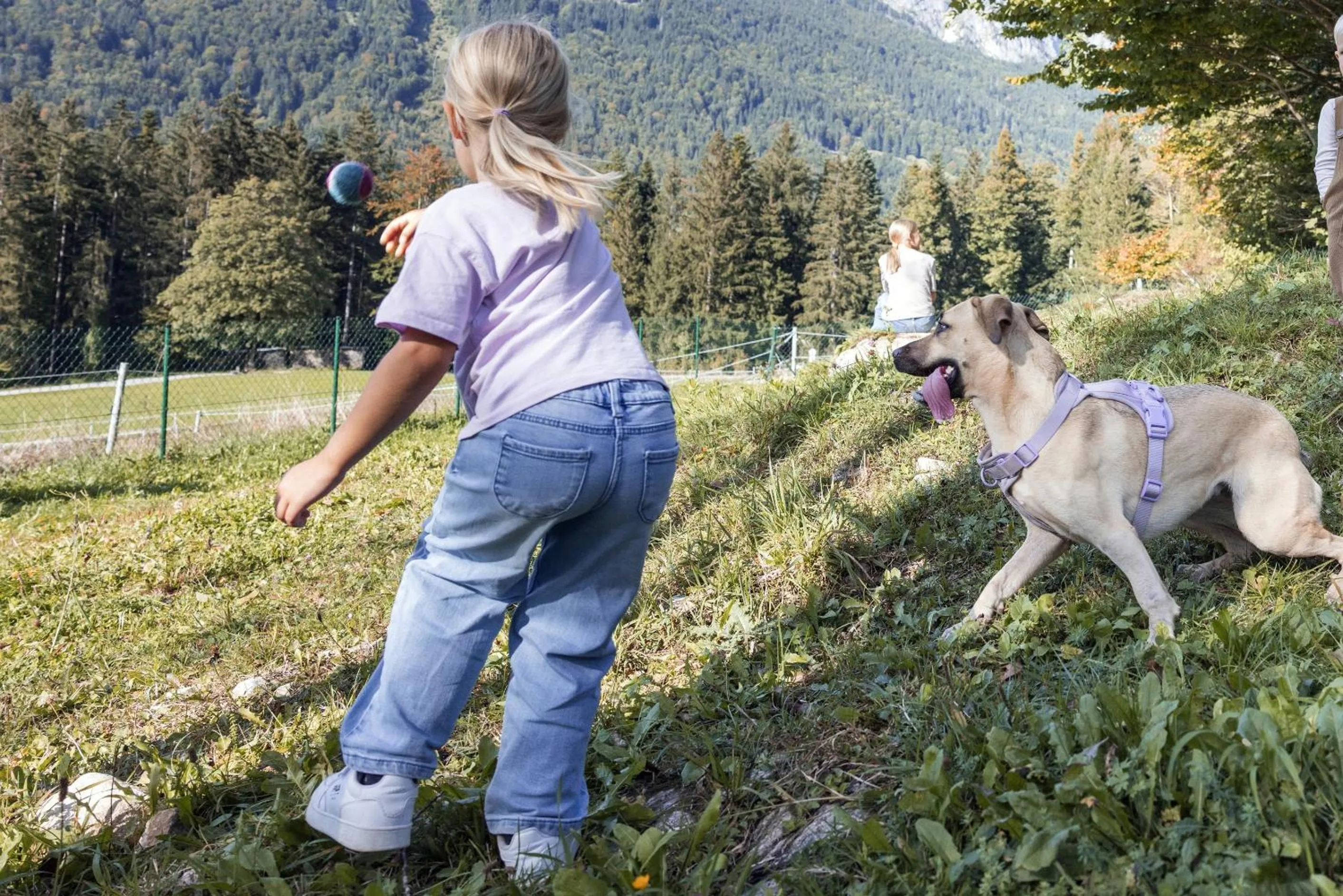 Animals in Narzissendorf Zloam