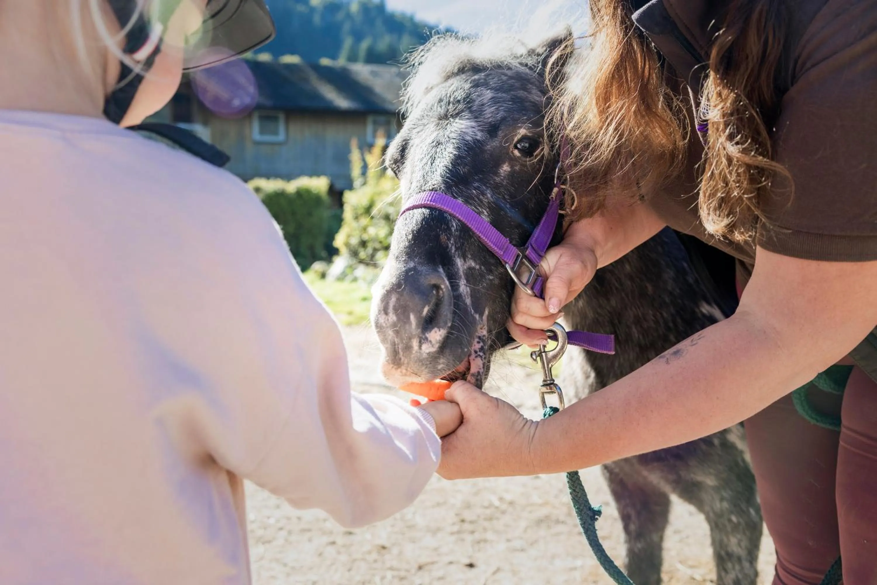 Activities in Narzissendorf Zloam