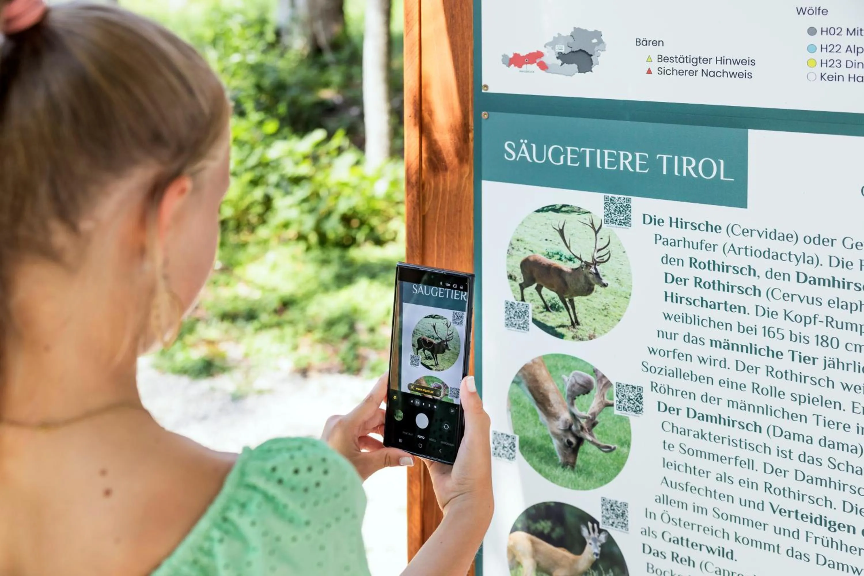 Activities in Narzissendorf Zloam