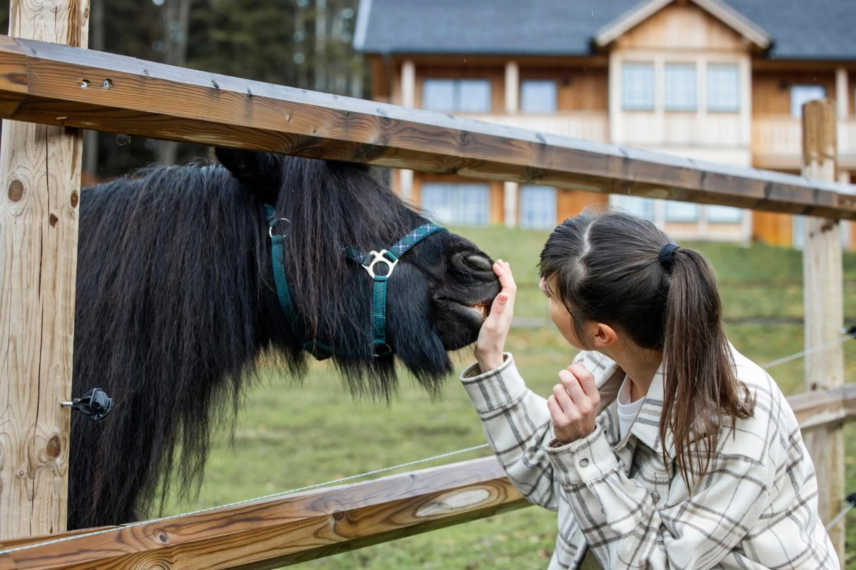 Activities in Narzissendorf Zloam