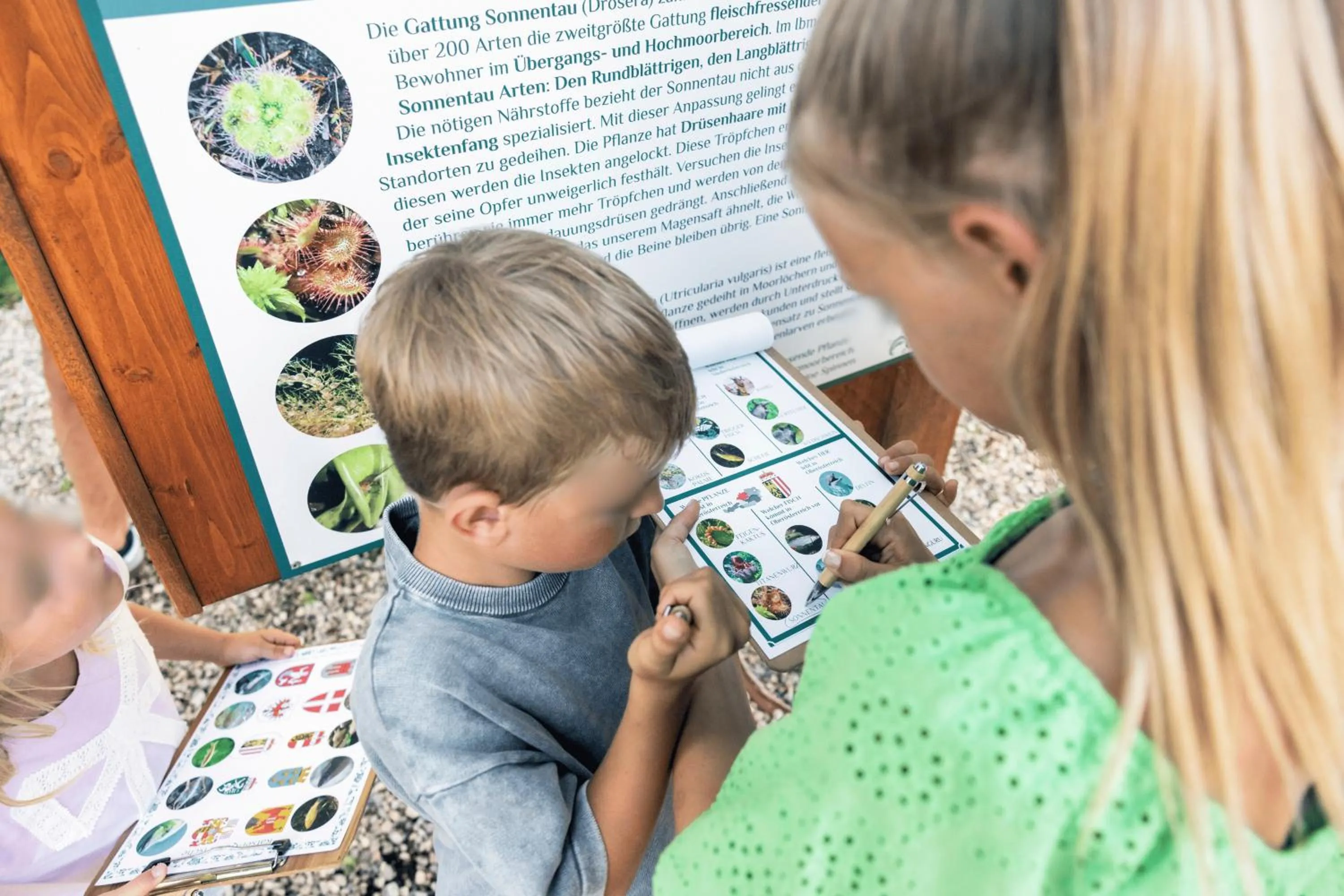 Activities in Narzissendorf Zloam