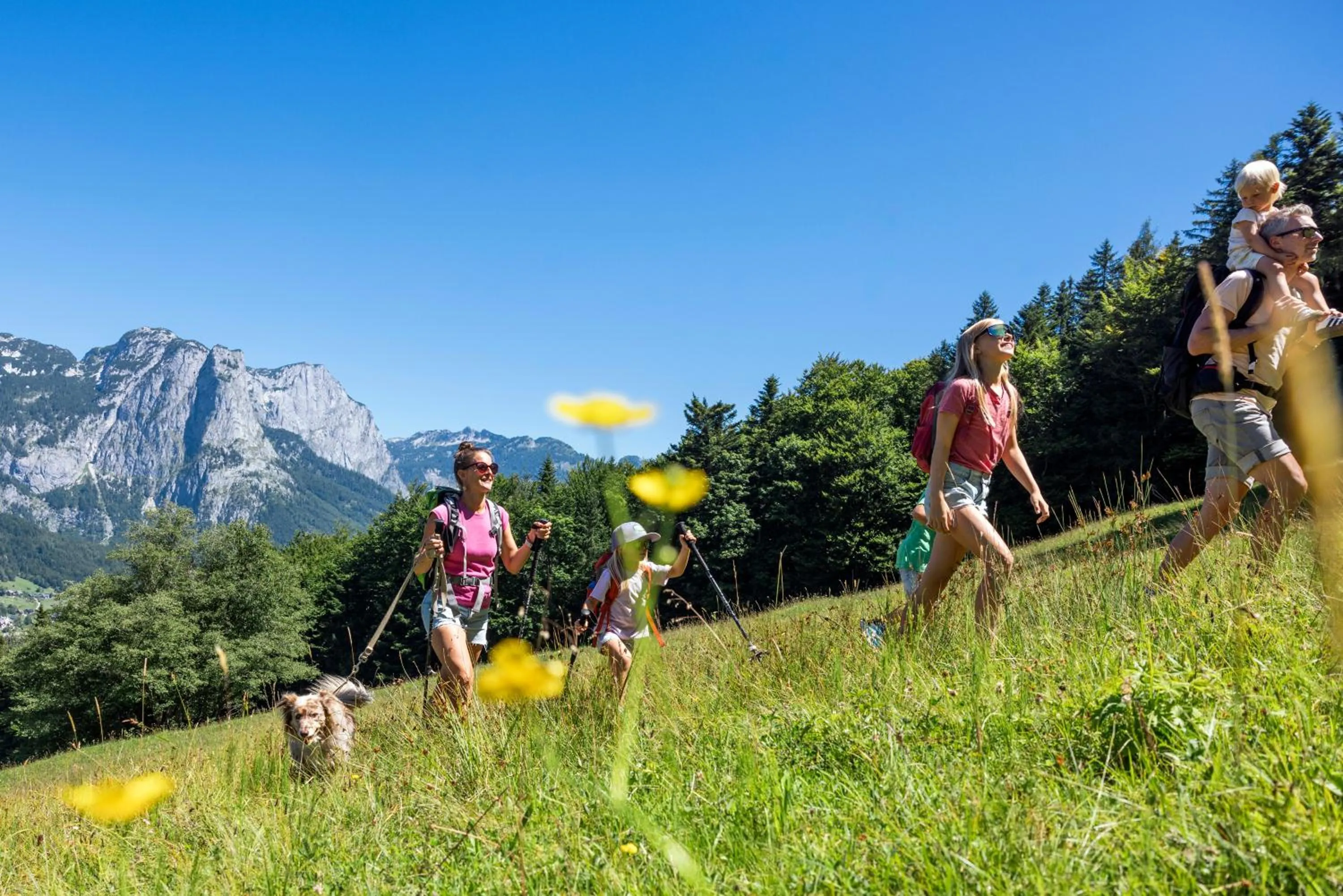 Natural landscape in Narzissendorf Zloam