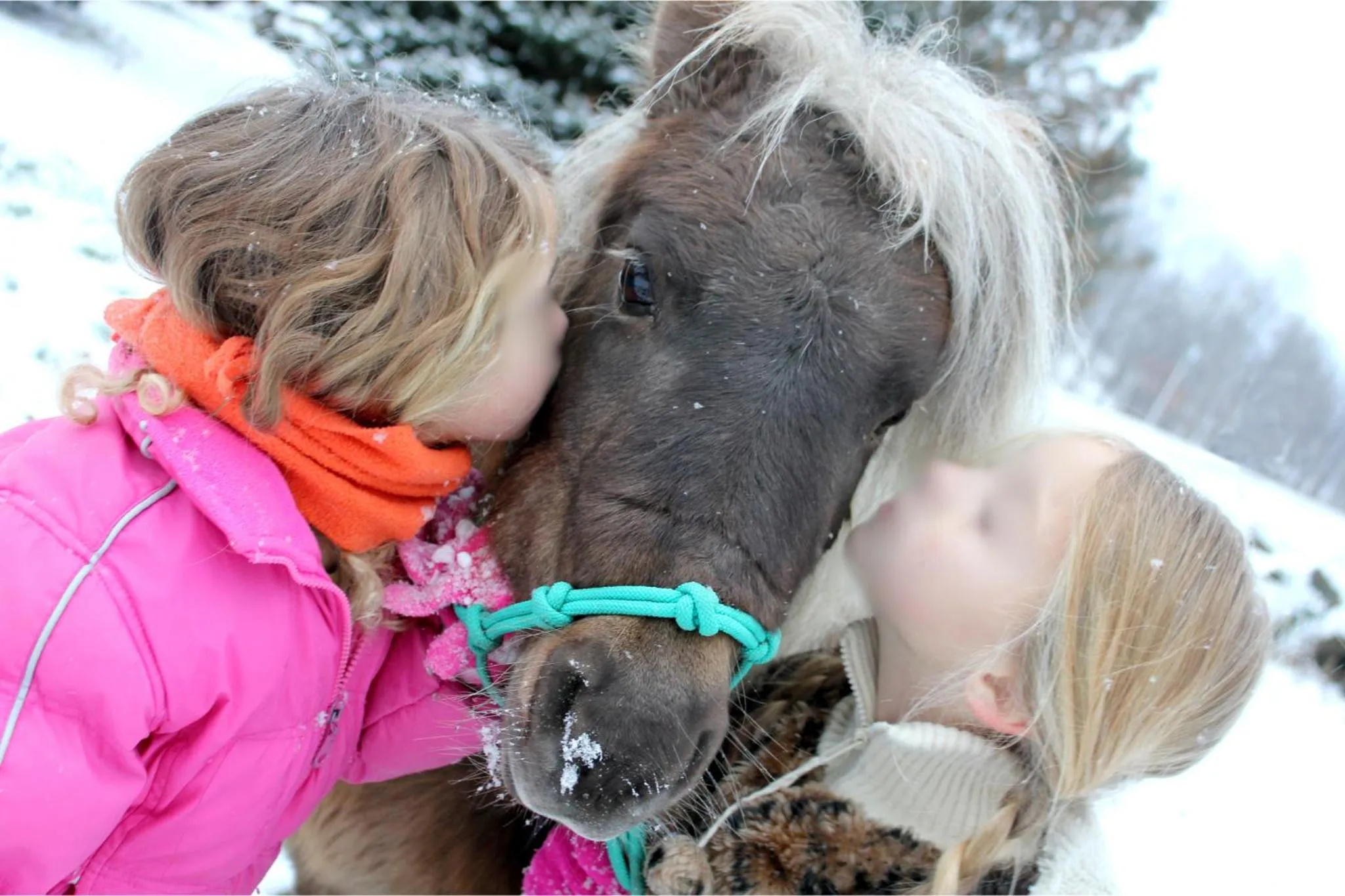 Activities in Narzissendorf Zloam