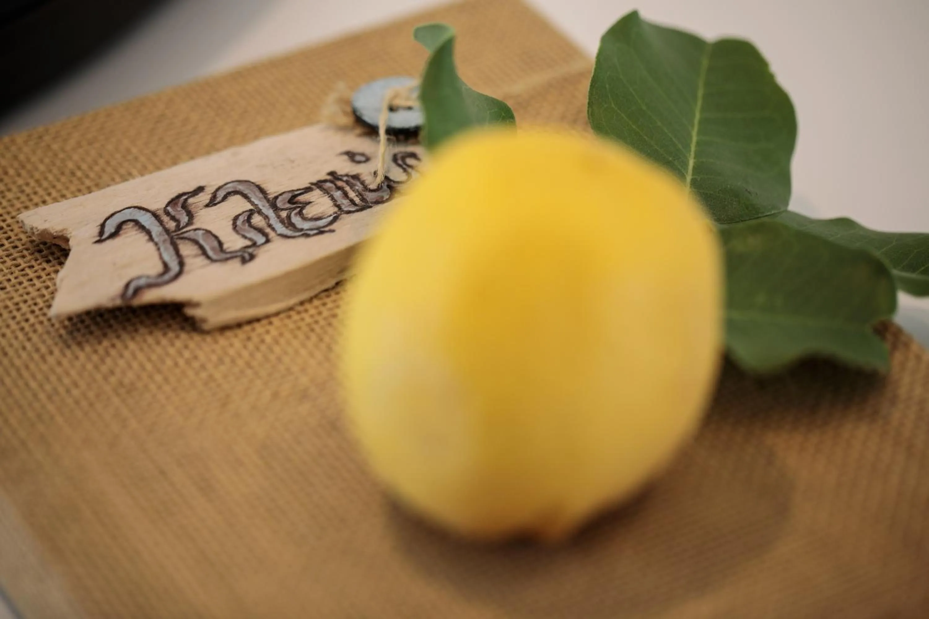 Logo/Certificate/Sign in Aeolos Villas Sustainable Living