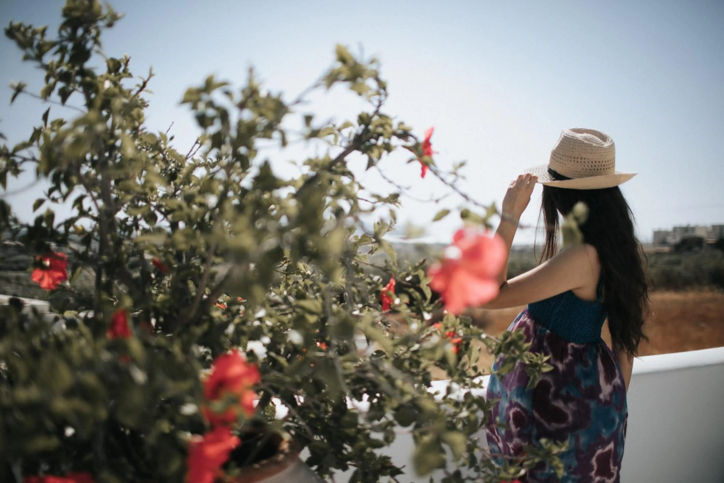 View (from property/room) in Aeolos Villas Sustainable Living