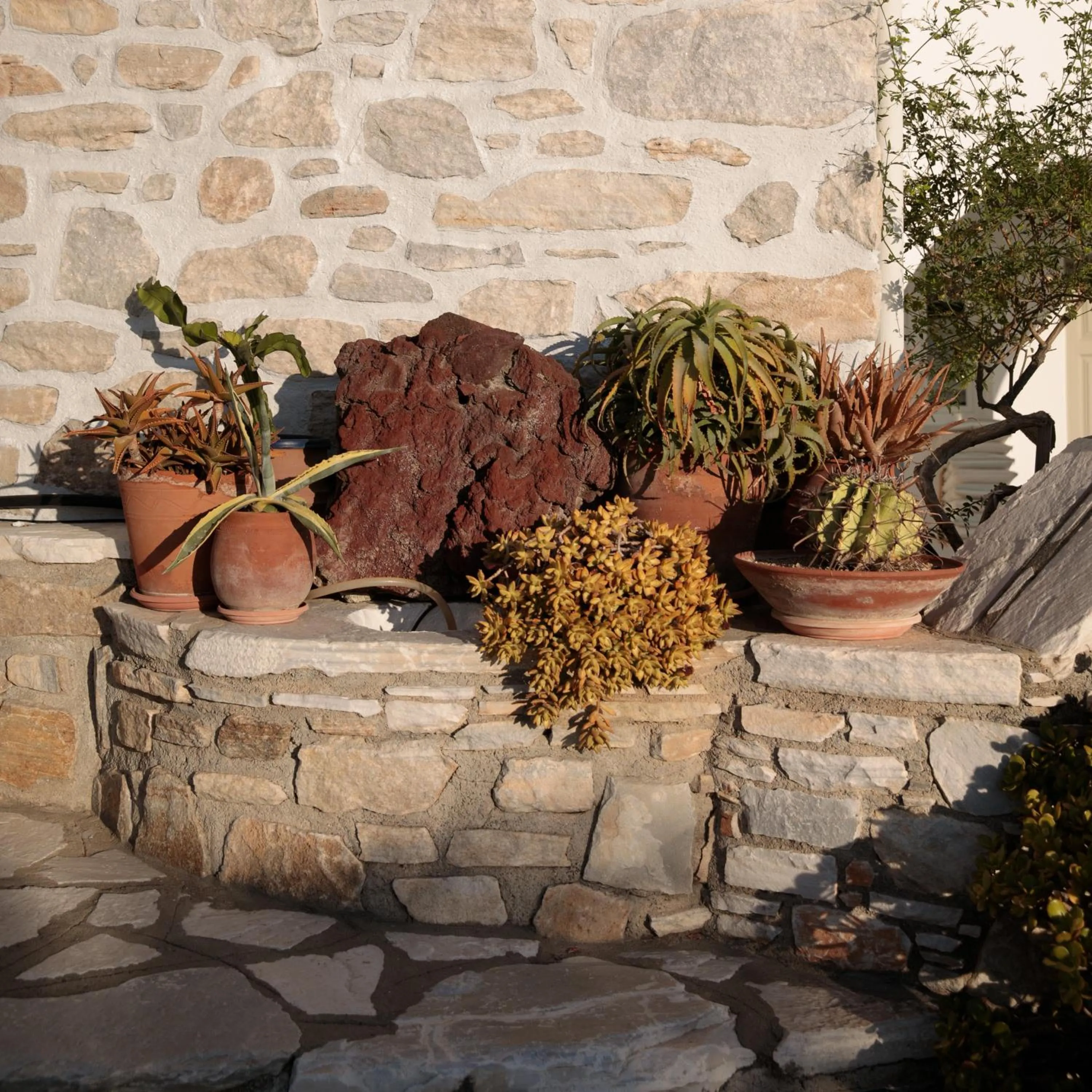 Garden in Aeolos Villas Sustainable Living