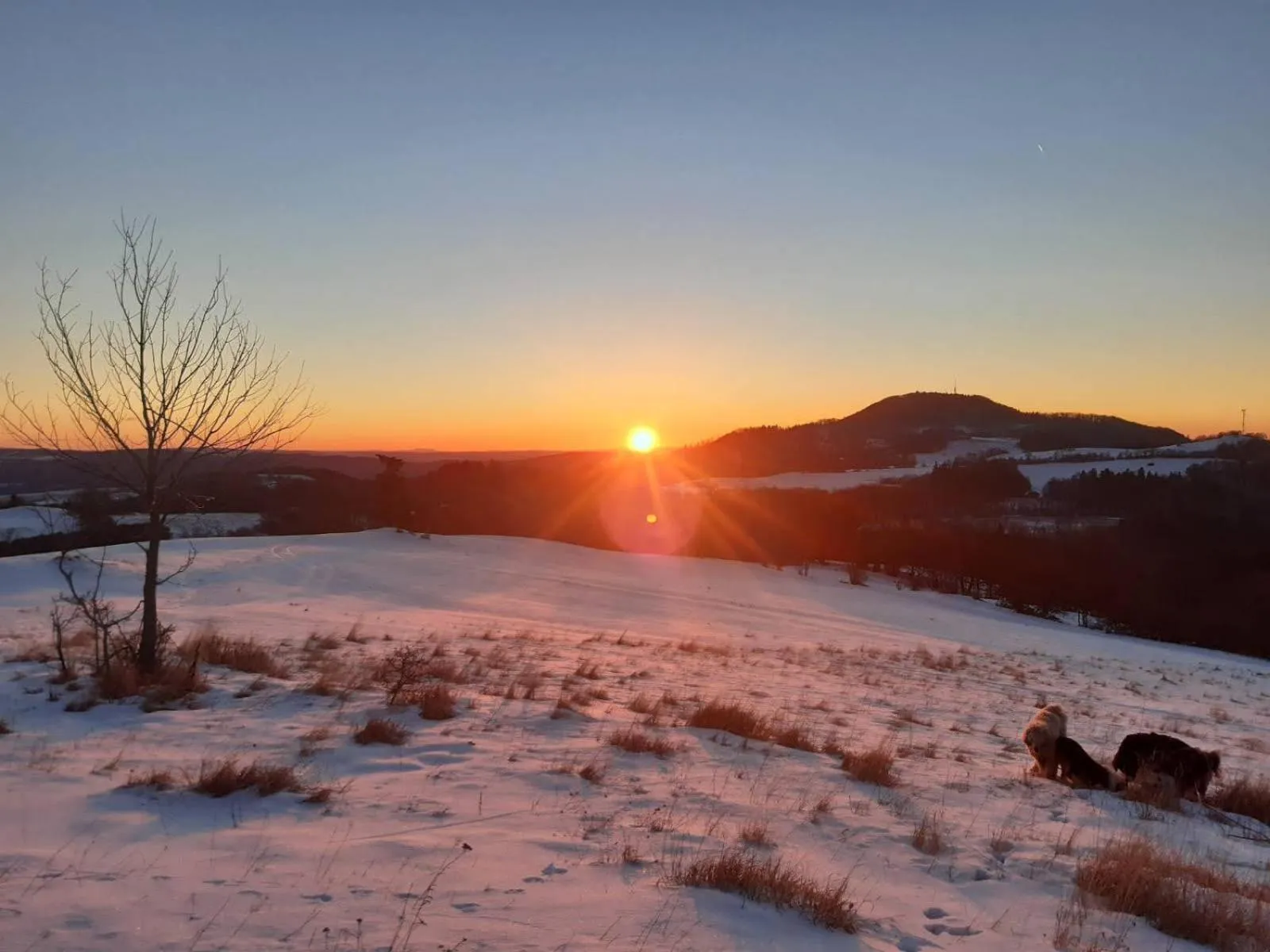 Villa Paradajs - ubytovanie pri jazere