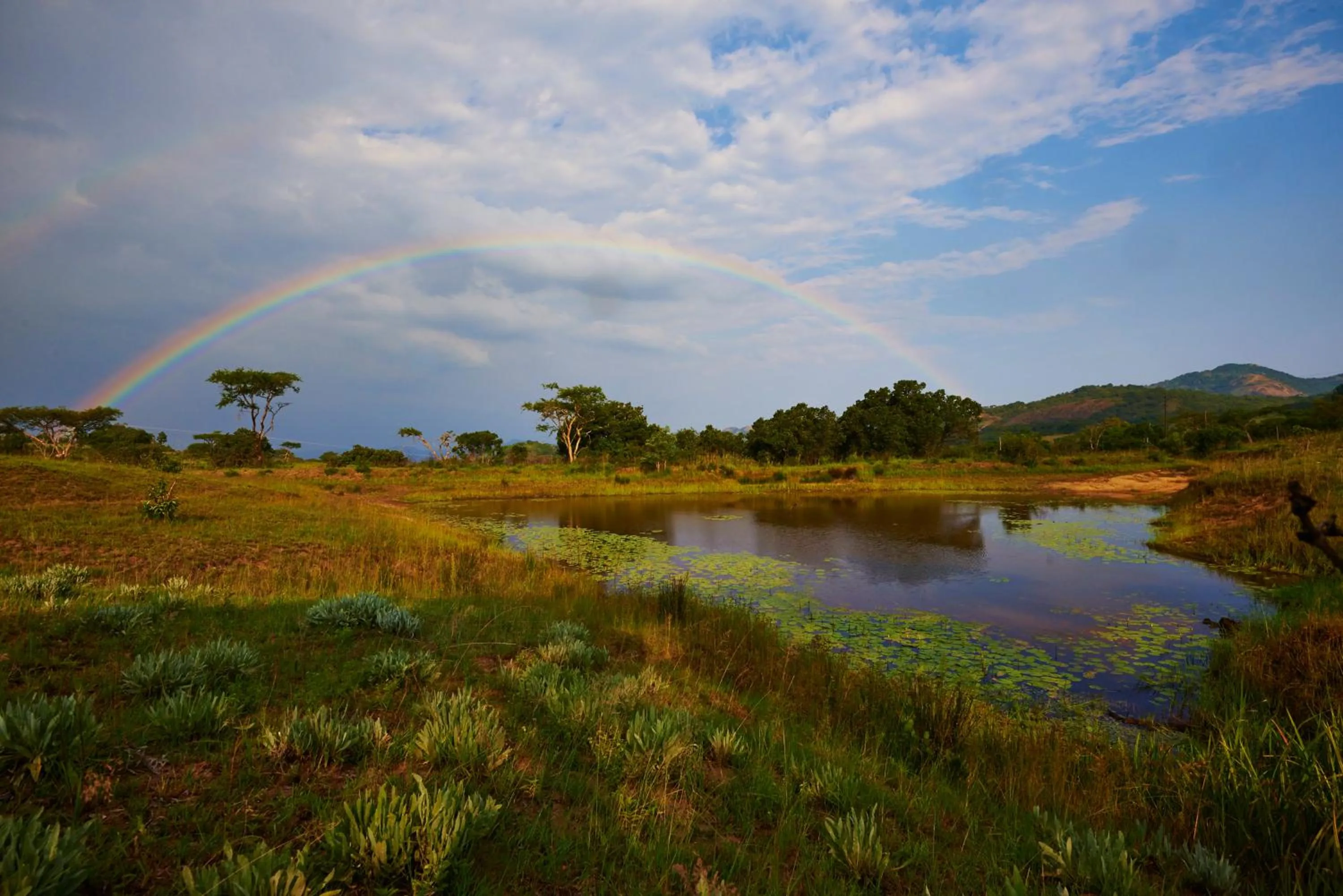Day in Tomjachu Bush Retreat